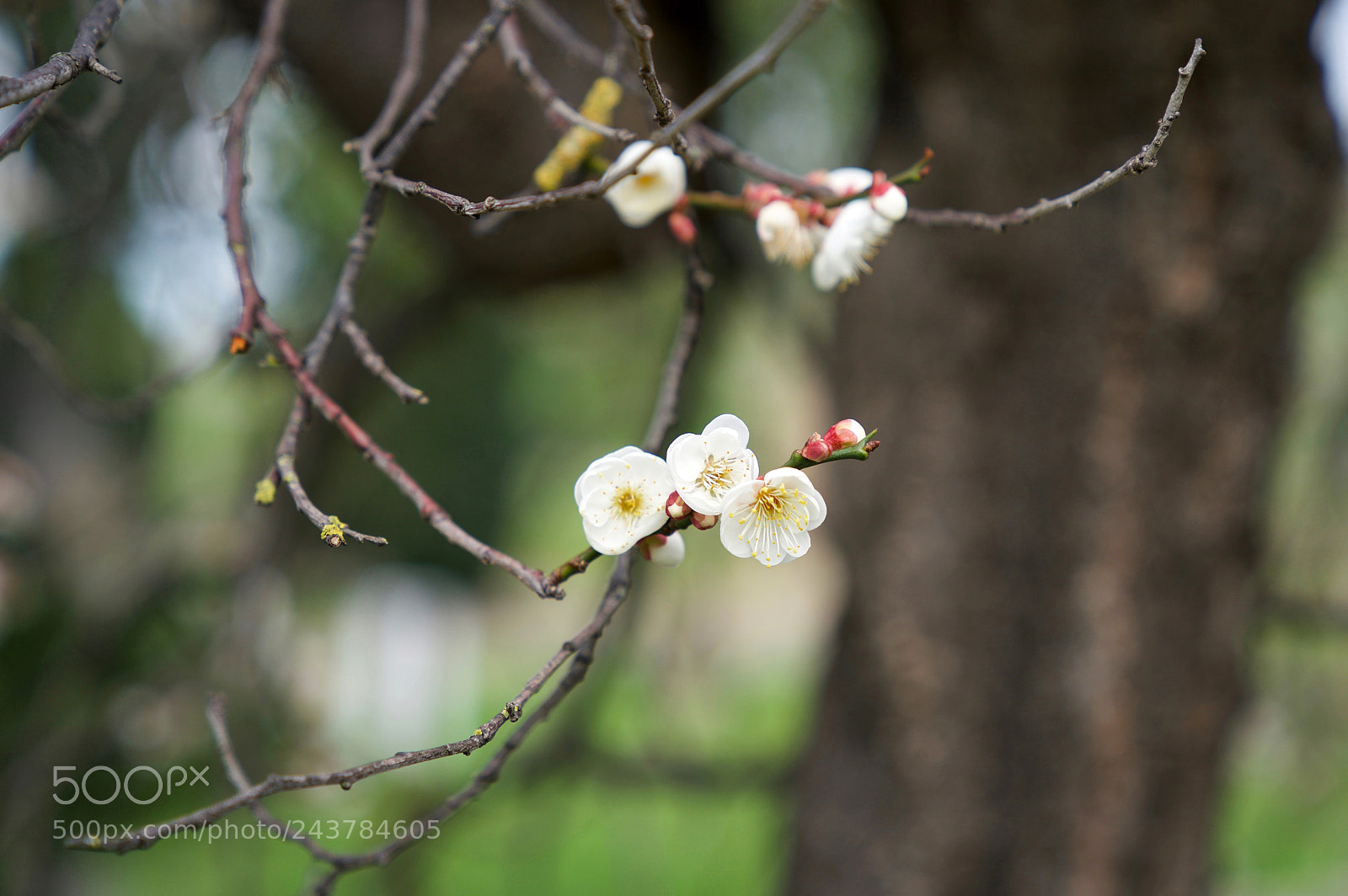 Sony a9 sample photo. When i show you photography