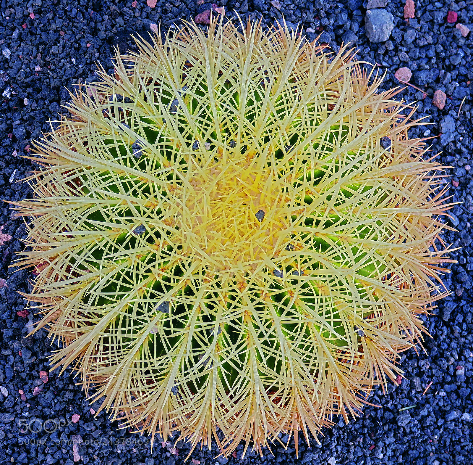 Canon PowerShot G3 X sample photo. Lanzarote #1 photography