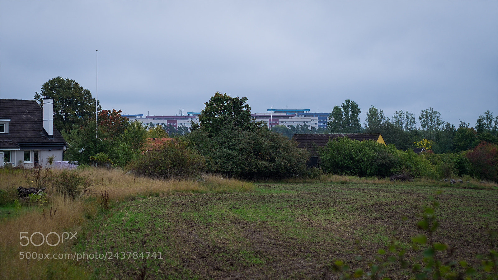 Fujifilm X-T10 sample photo. After the fog photography