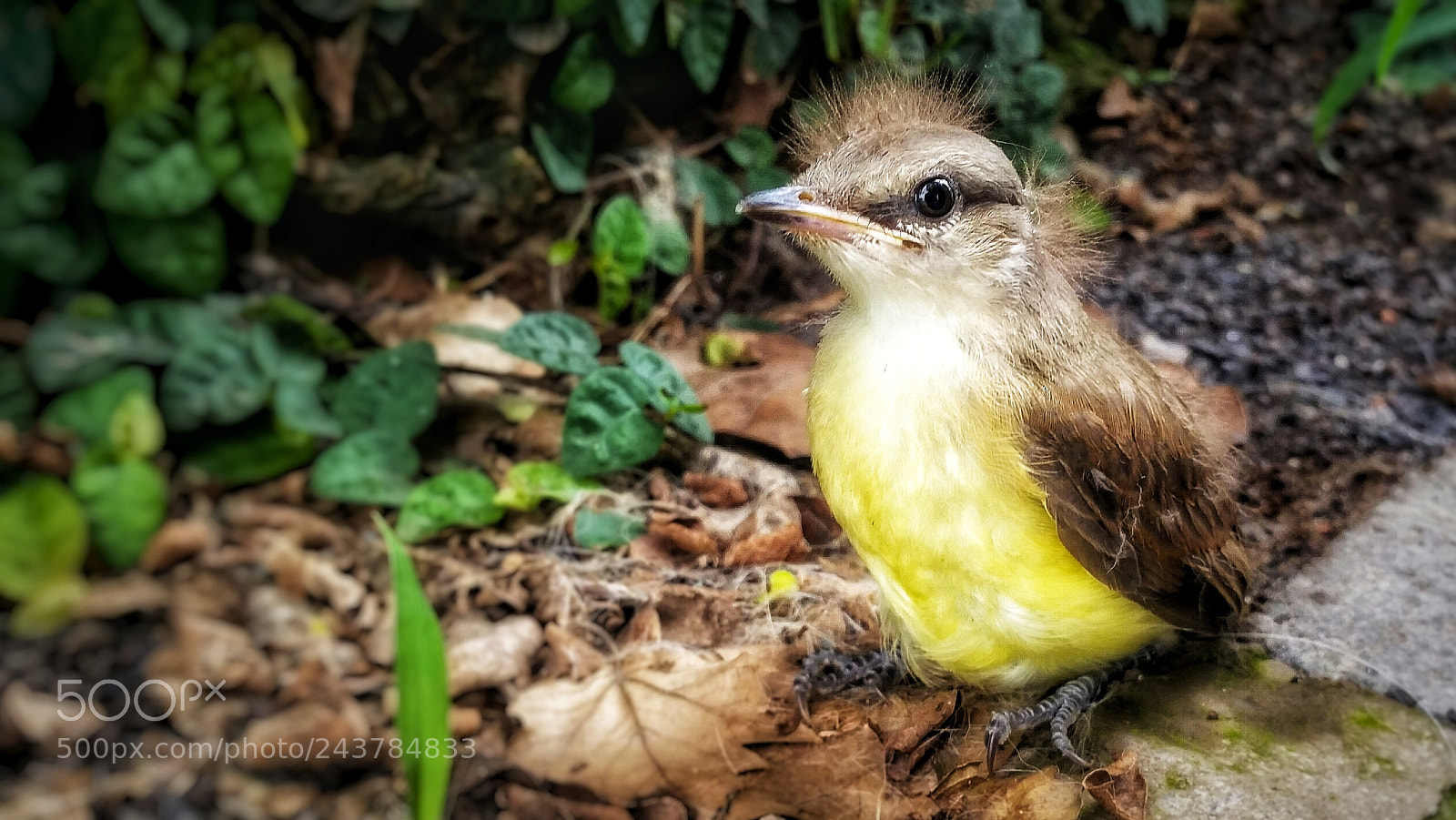 Samsung Galaxy S5 sample photo. Erster ausflug photography