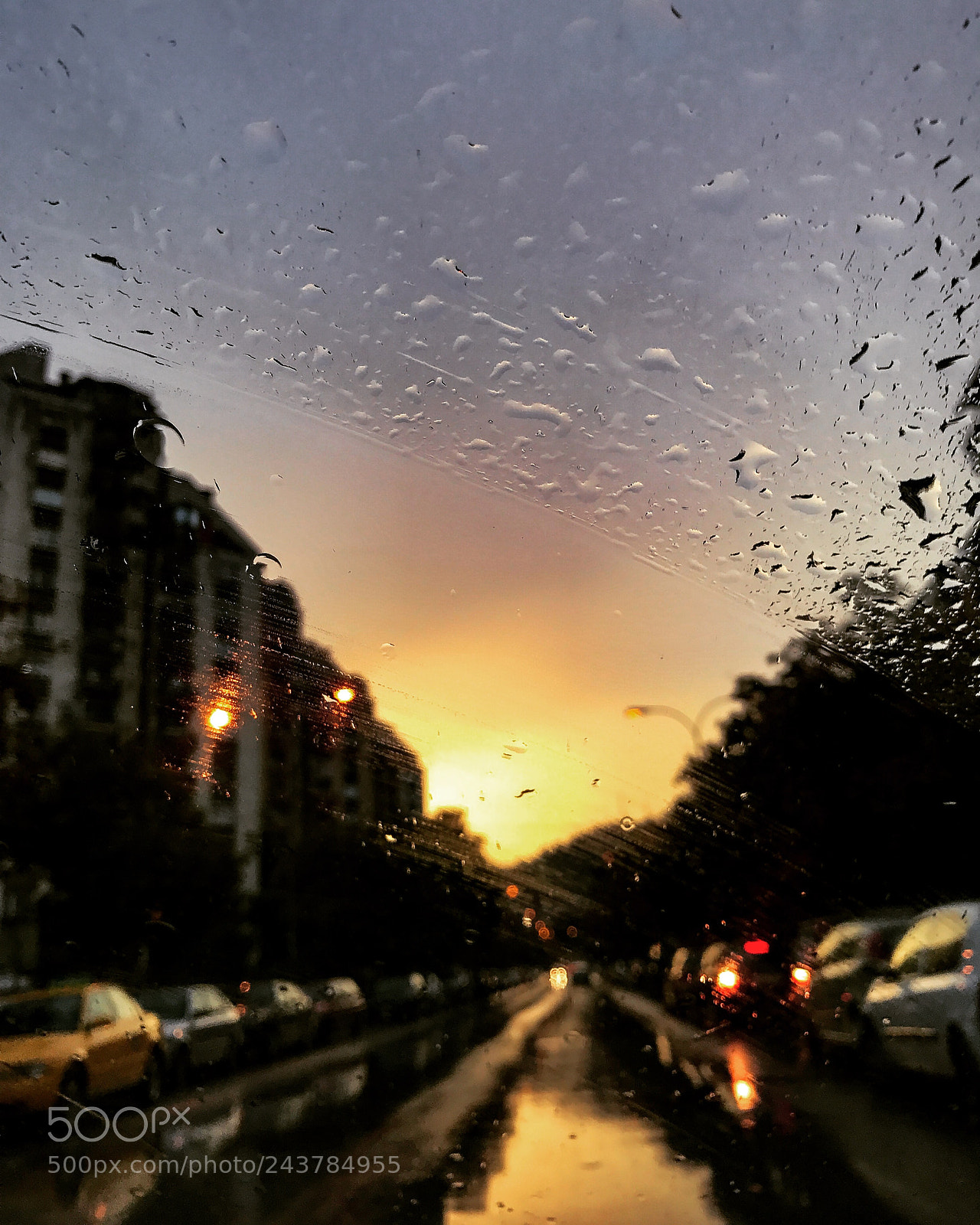 Apple iPhone 7 Plus sample photo. Untitled photography