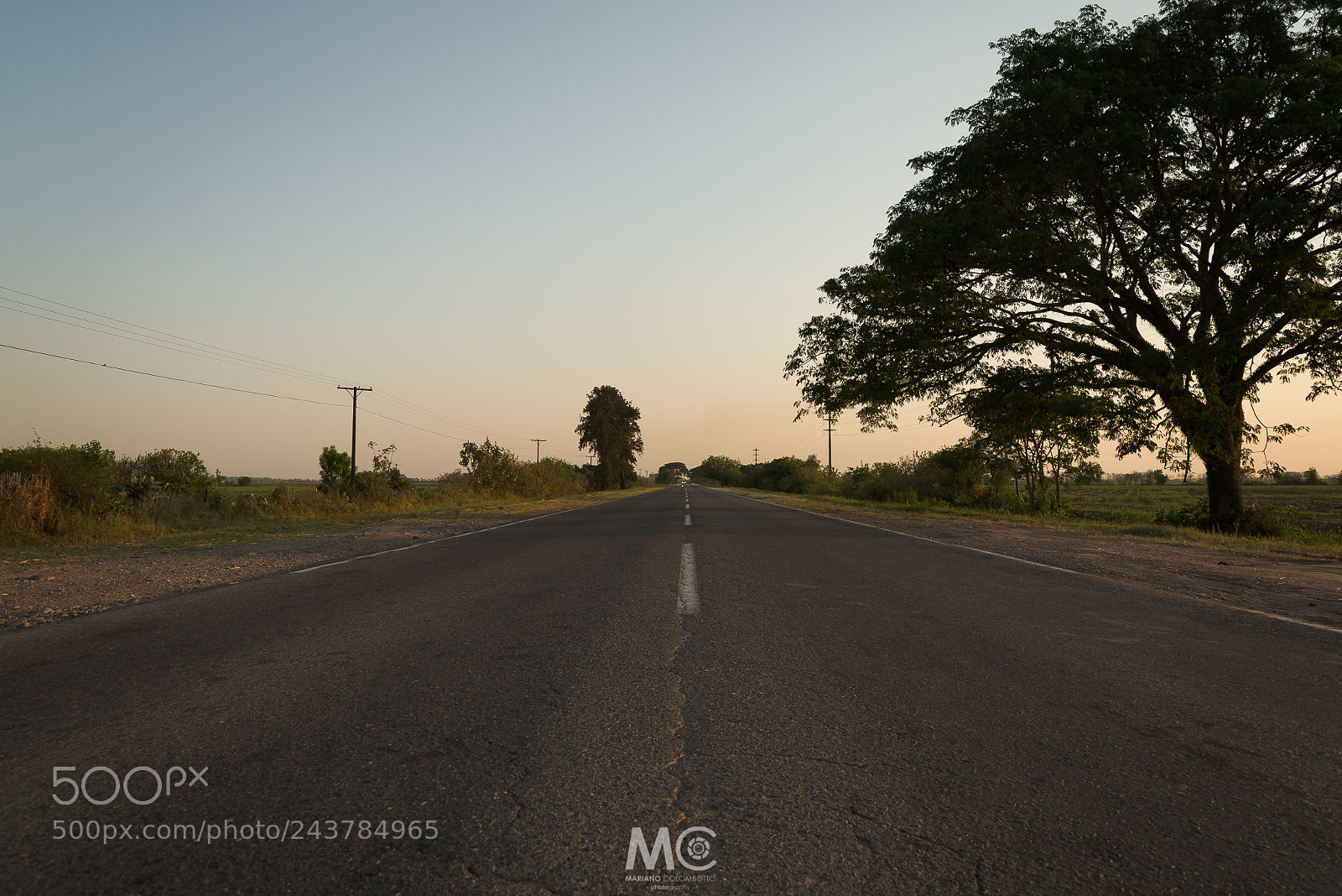 Nikon D610 sample photo. Road to perdition photography