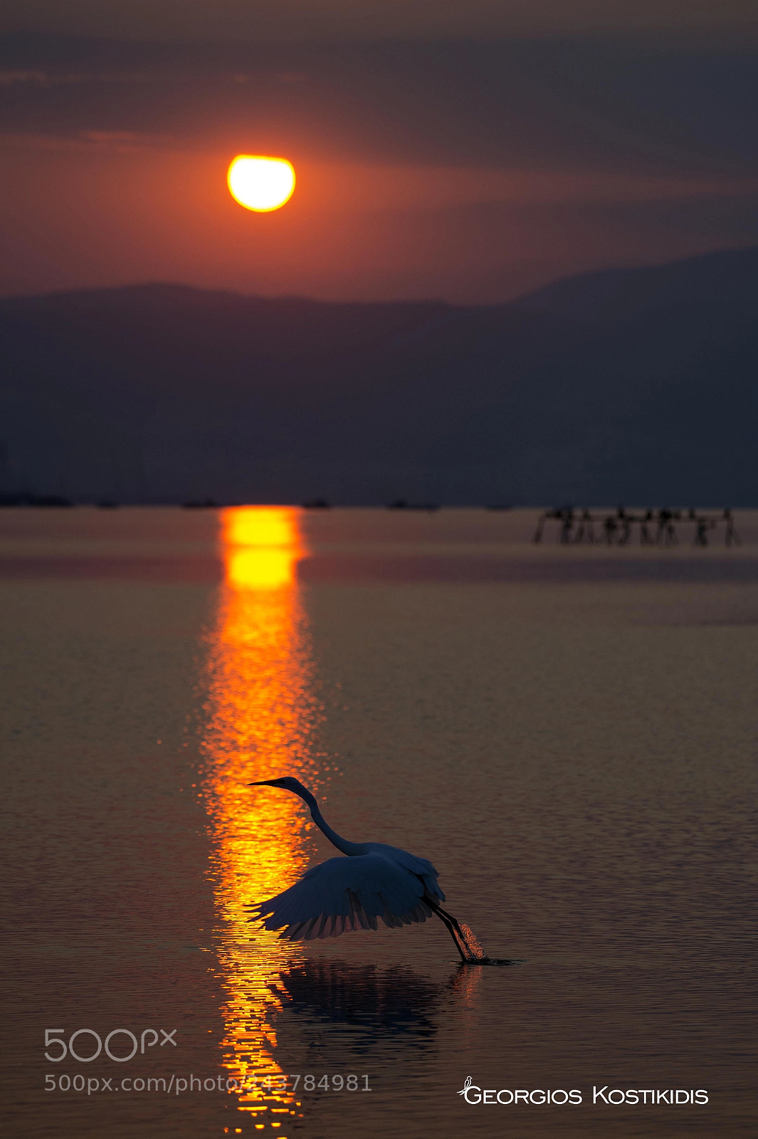 Nikon D4 sample photo. Geo photography