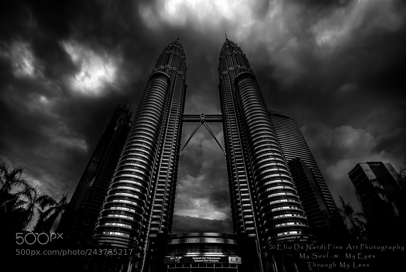 Nikon D810 sample photo. Petronas twin towers photography
