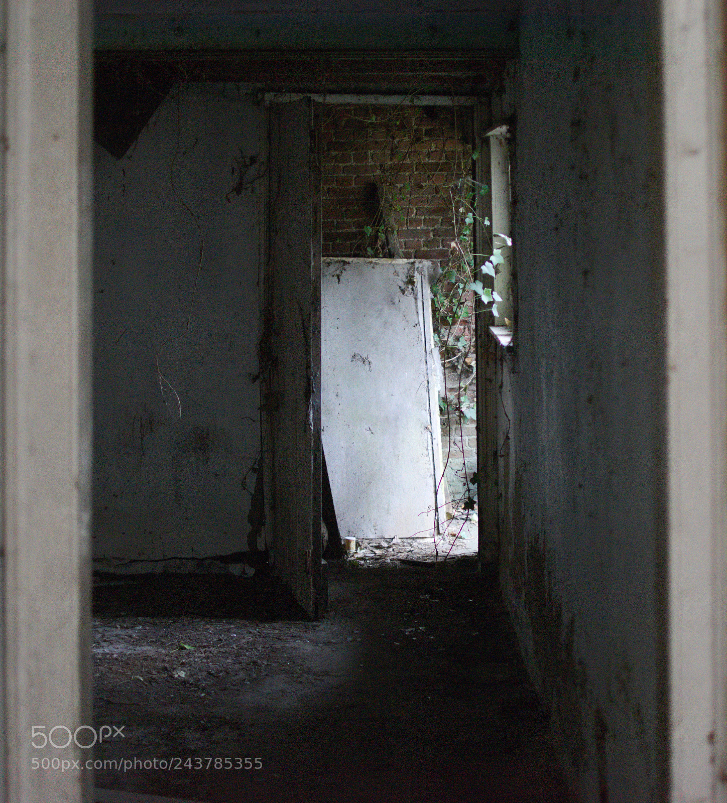 Nikon AF-S DX Nikkor 35mm F1.8G sample photo. Door photography