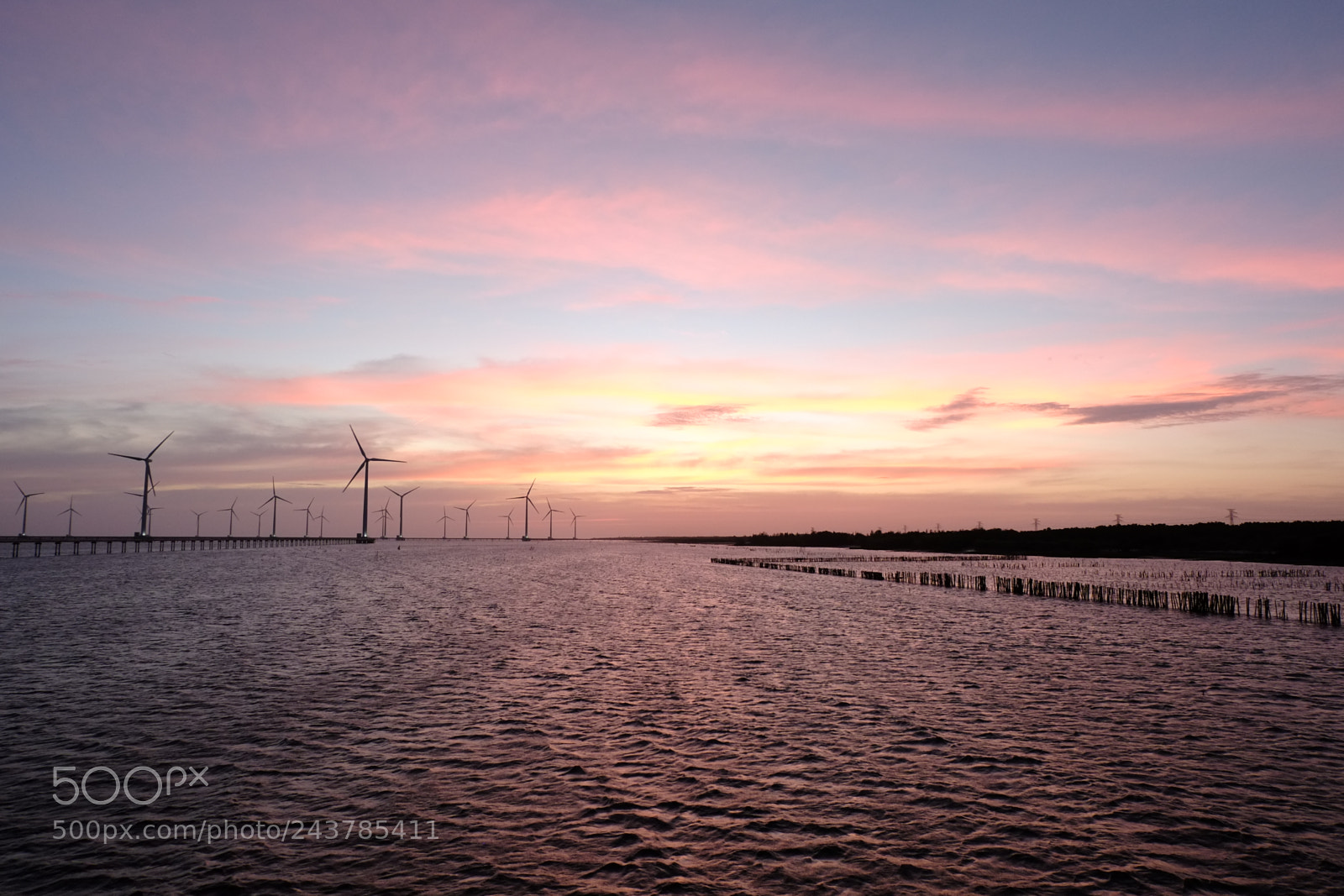 Fujifilm X-E1 sample photo. Sunset - wind photography