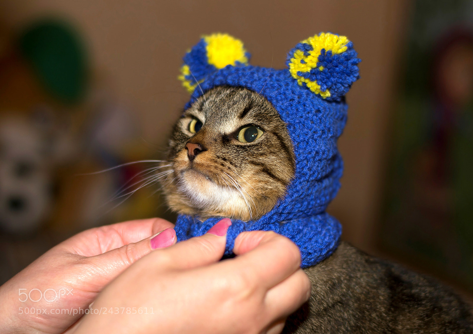 Nikon D3100 sample photo. 1.jpg photography