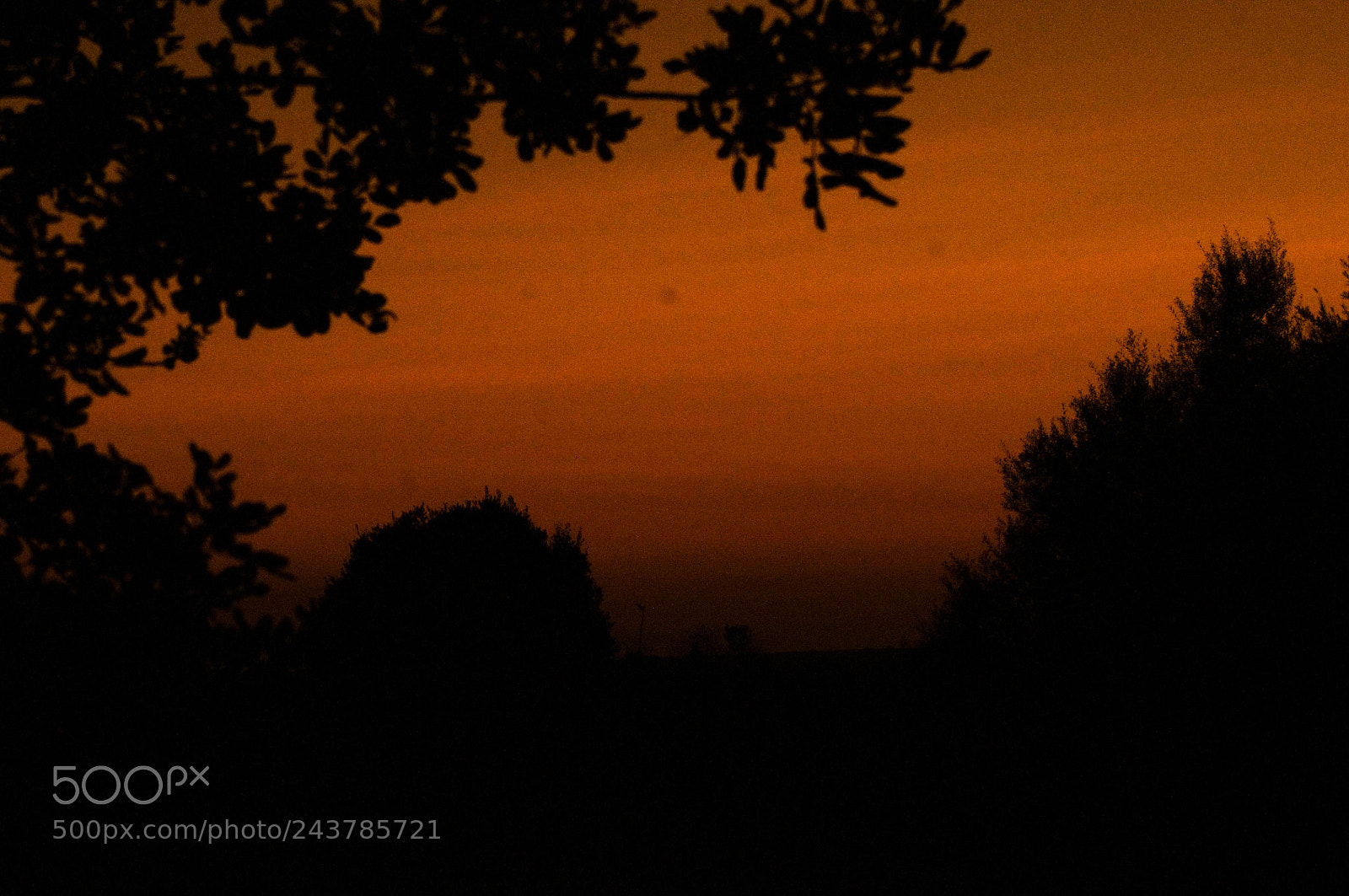 Pentax K-r sample photo. Skyline photography