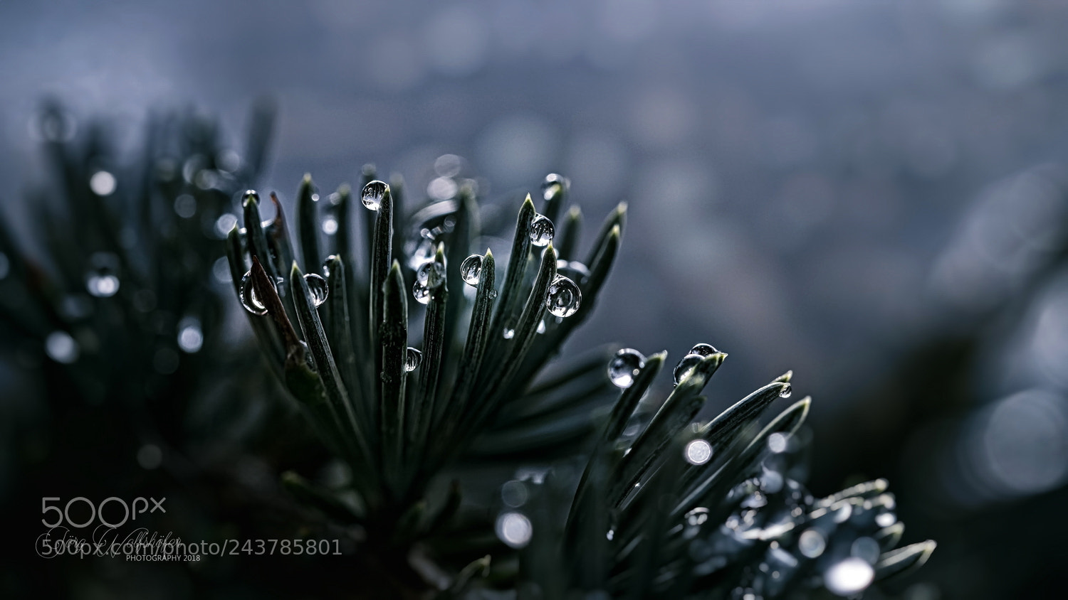 Nikon D5100 sample photo. Thaw period photography