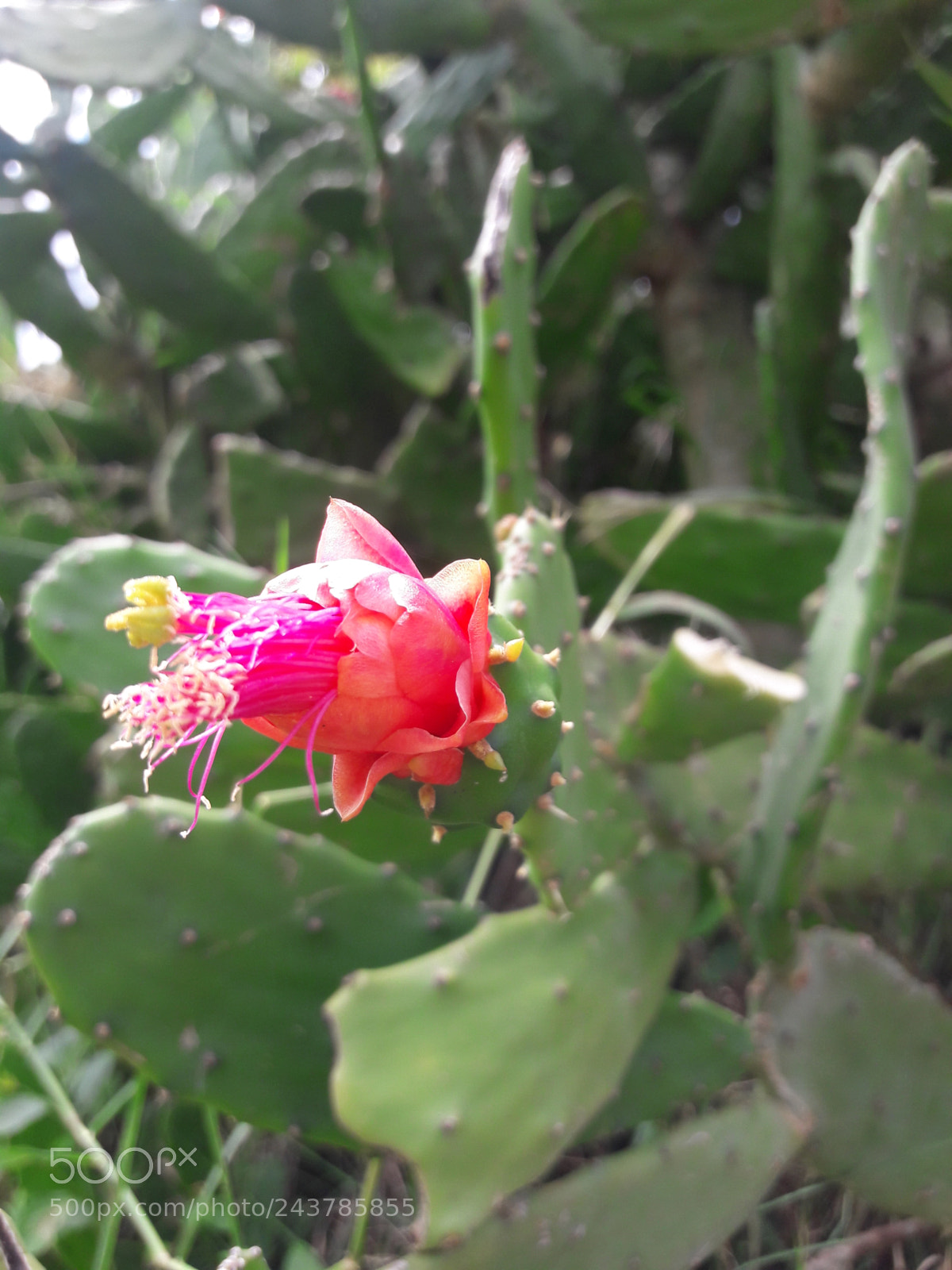 Samsung Galaxy J7 sample photo. Untitled photography