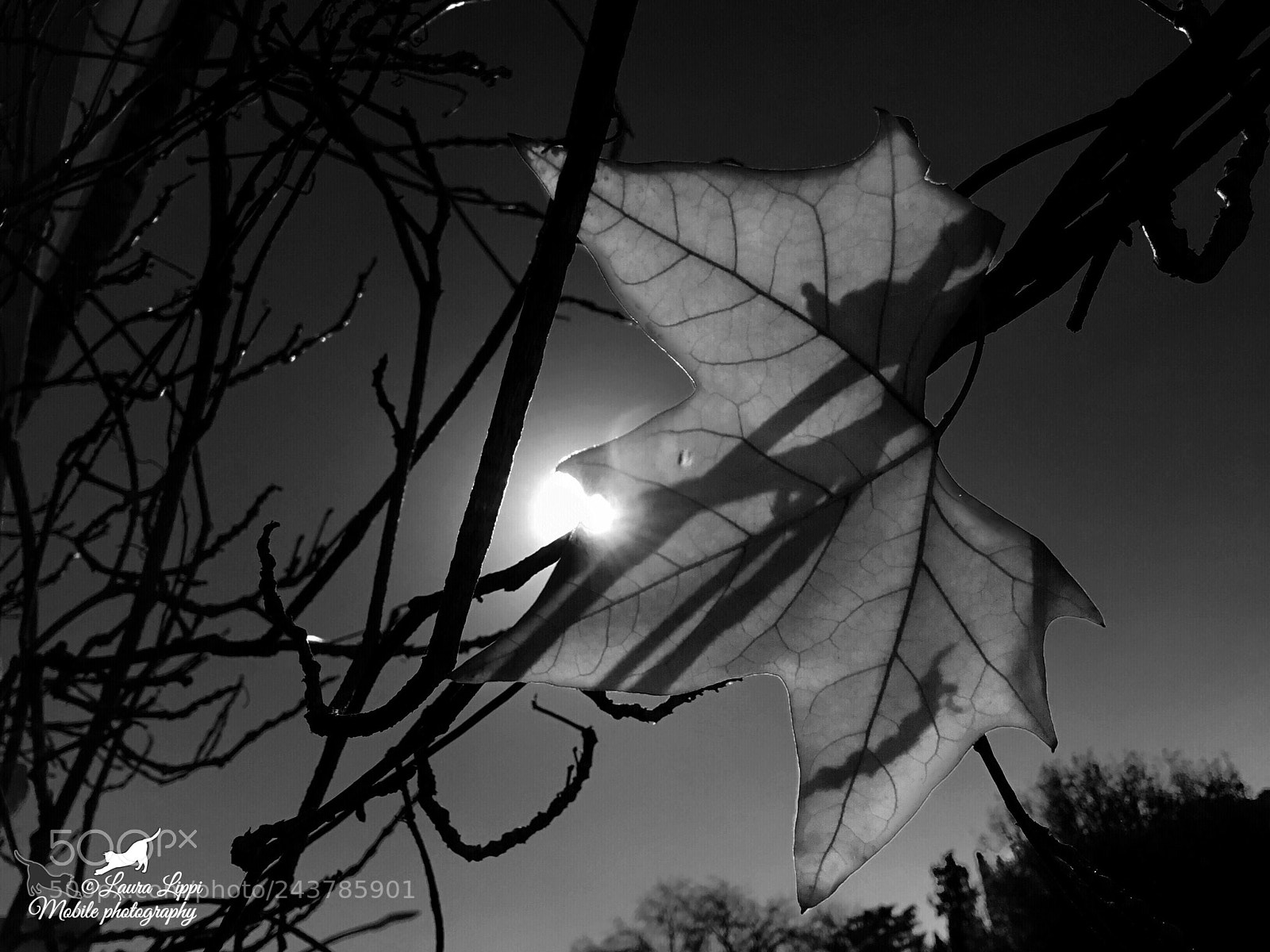 Apple iPad (5th generation) sample photo. ..like the midnight sun photography