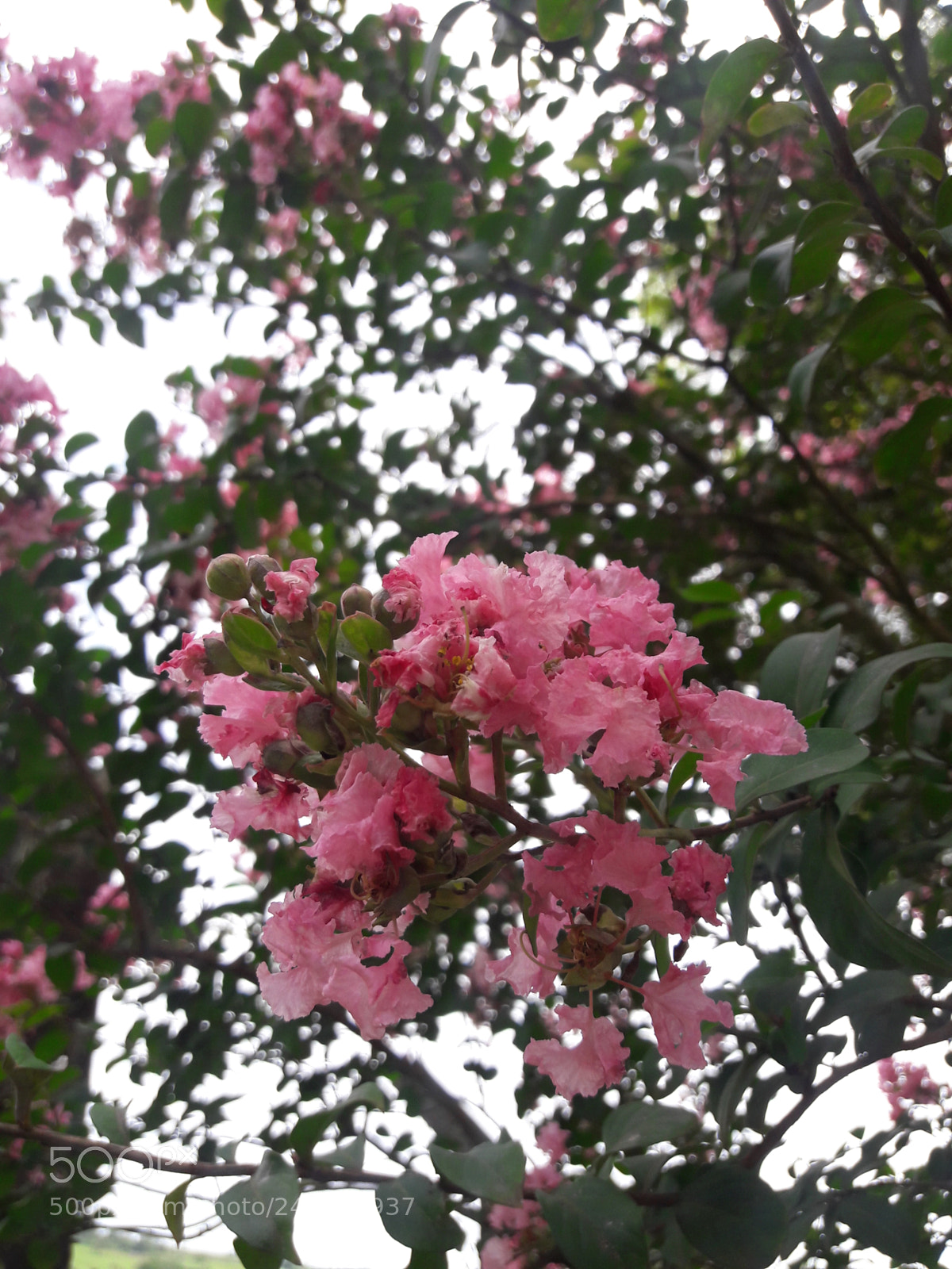 Samsung Galaxy J7 sample photo. Untitled photography