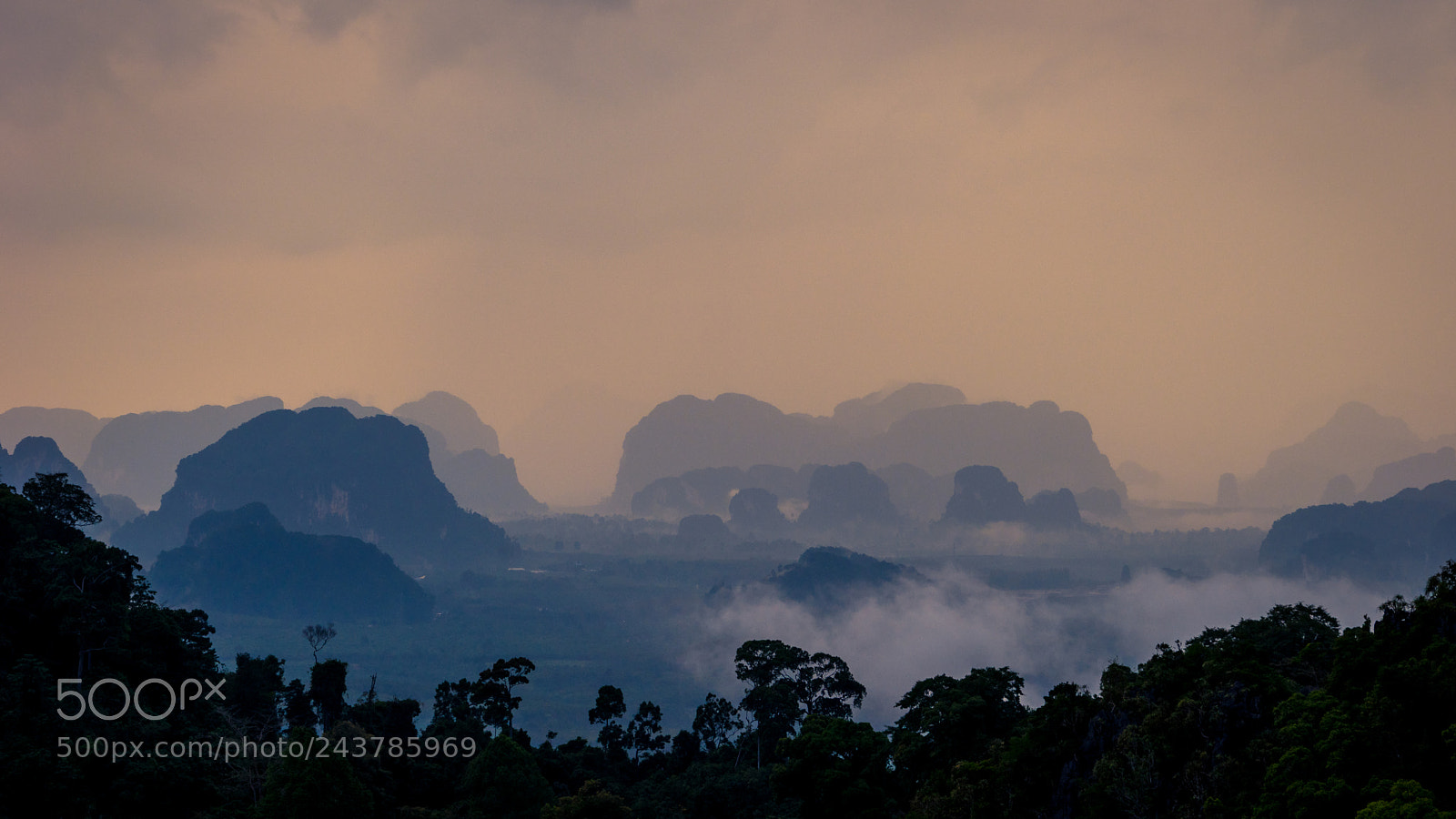 Sony a7 II sample photo. View form tiger temple photography