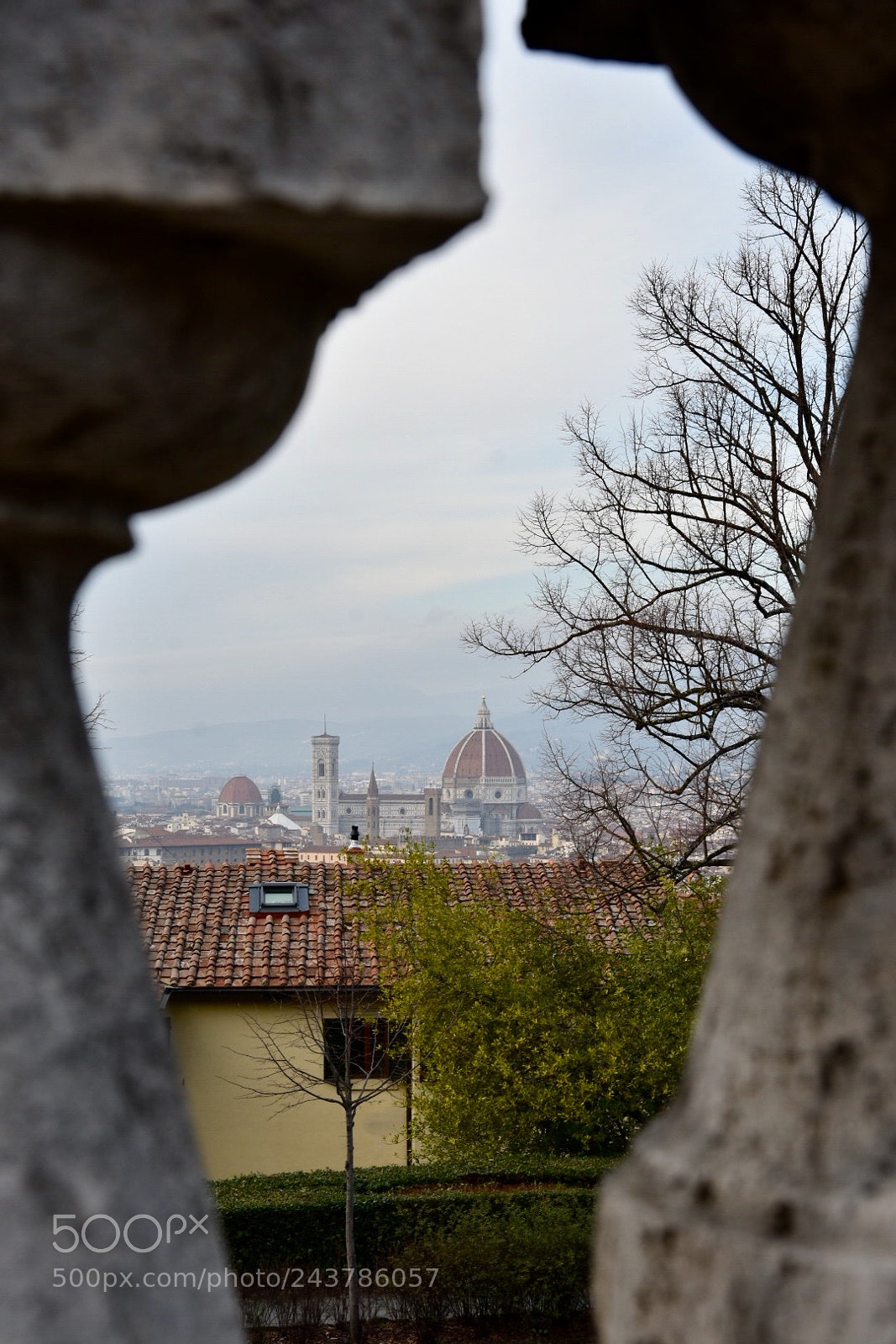 Nikon D7200 sample photo. Firenze photography