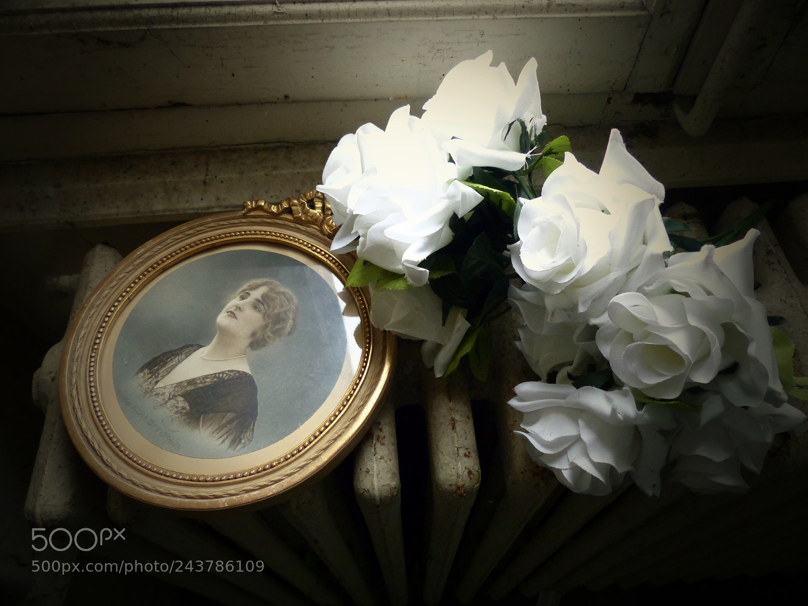 Panasonic Lumix DMC-FZ200 sample photo. Ghost  and dead  flowers photography