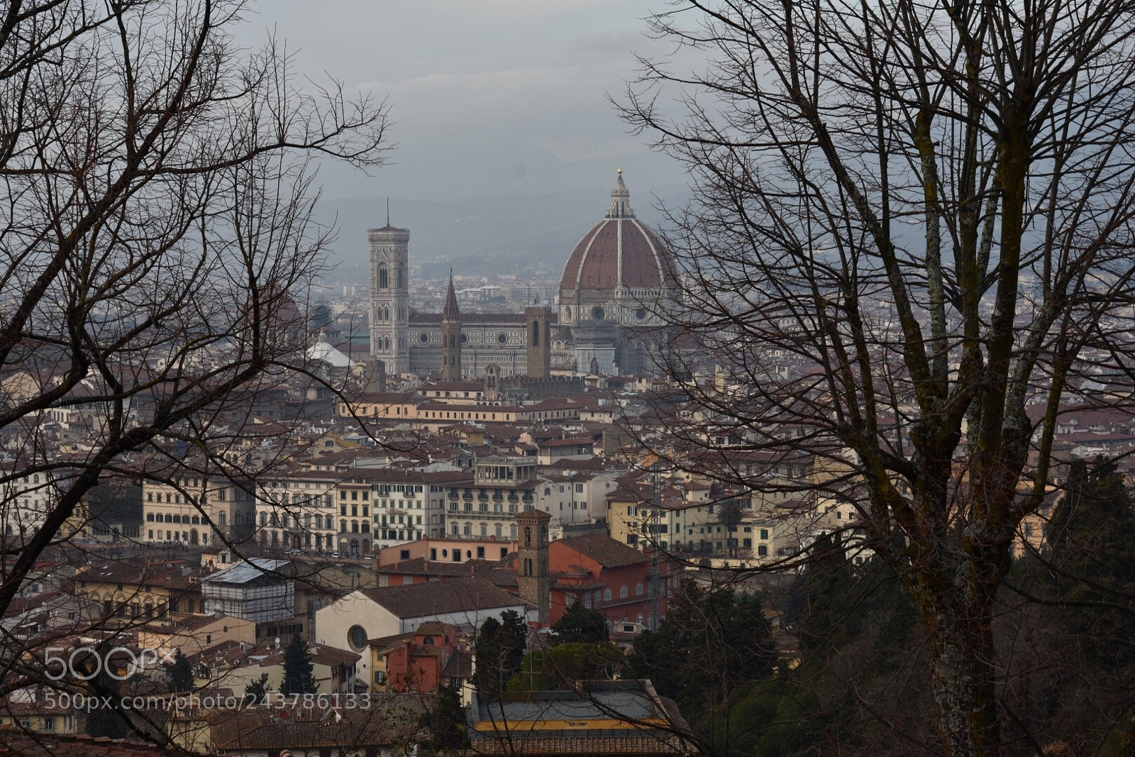 Nikon D7200 sample photo. Firenze photography