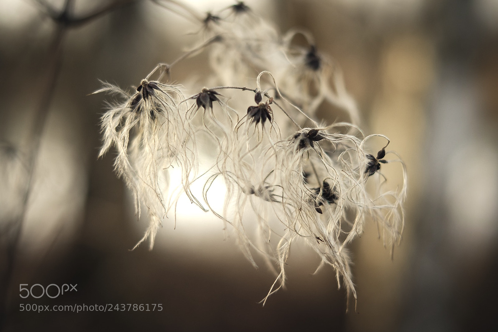 Fujifilm X-T20 sample photo. Near the lake photography