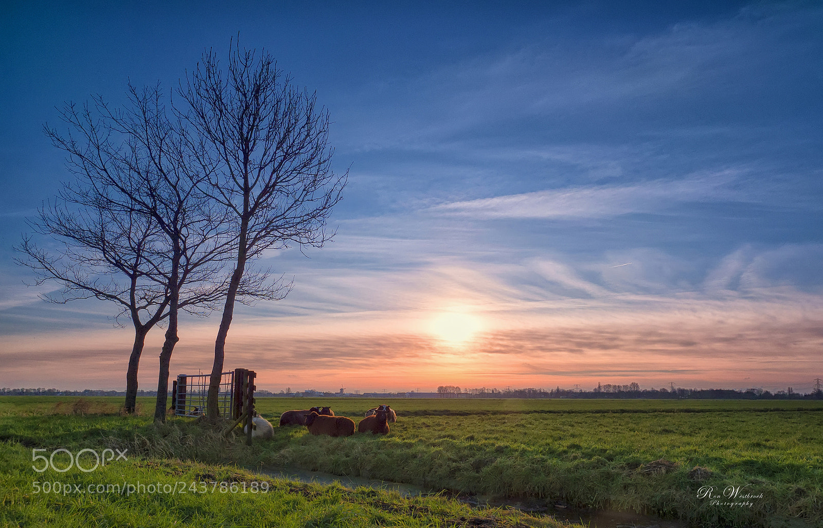 Olympus OM-D E-M10 II sample photo. Sunrise in the dutch photography