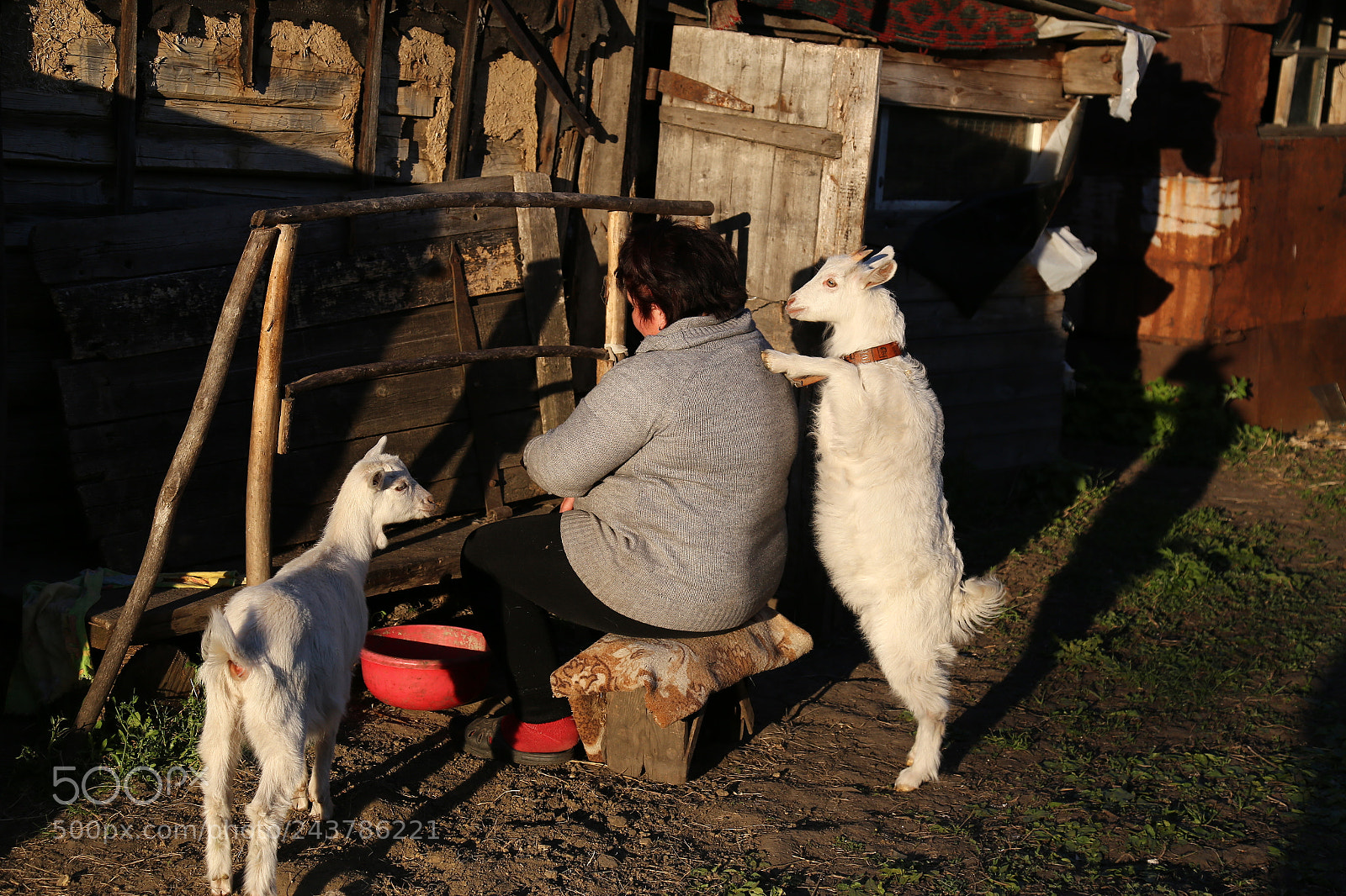 Canon EOS 6D + Canon EF 24-105mm F4L IS USM sample photo. Img photography