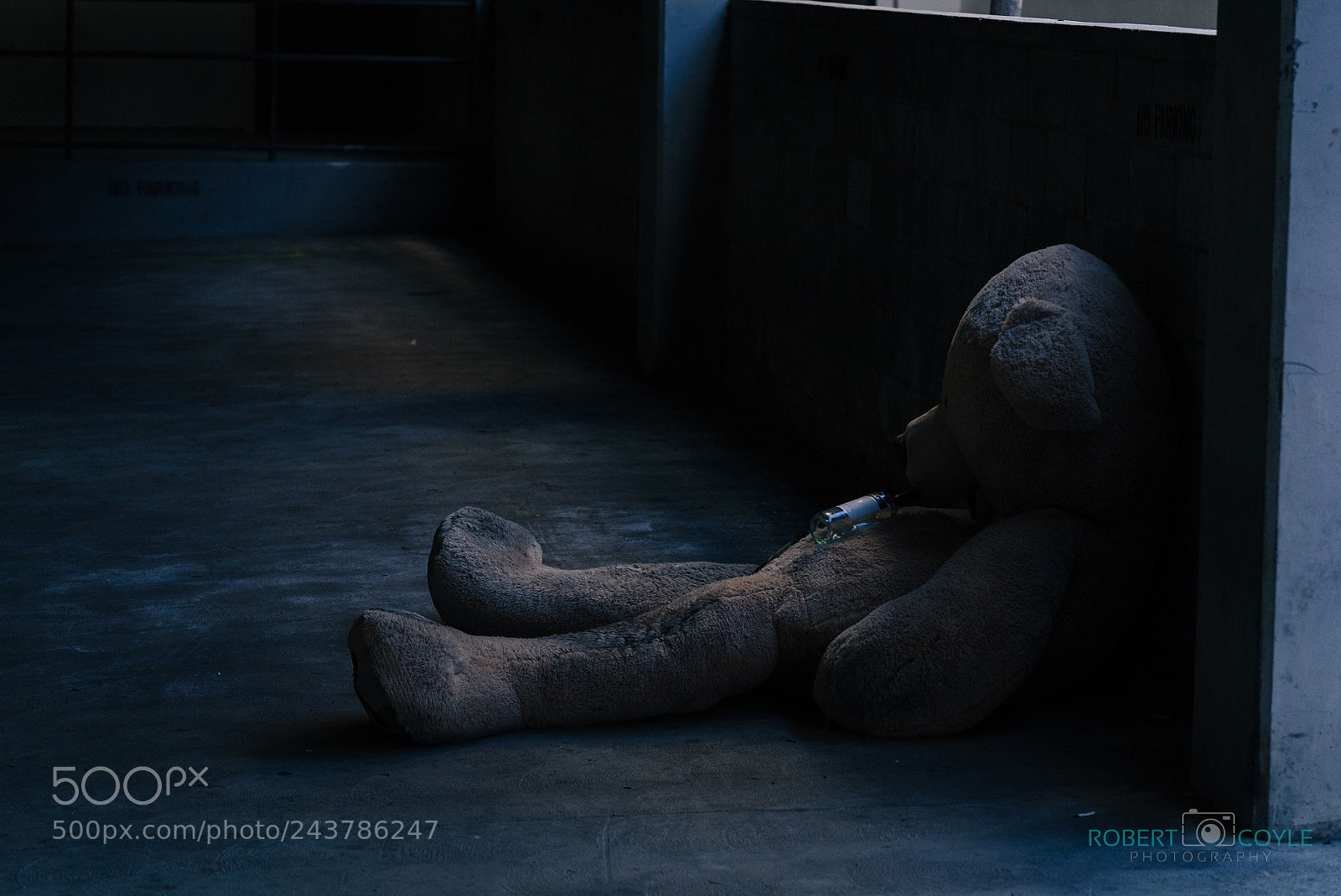 Sony a7S II sample photo. The bare necessities photography