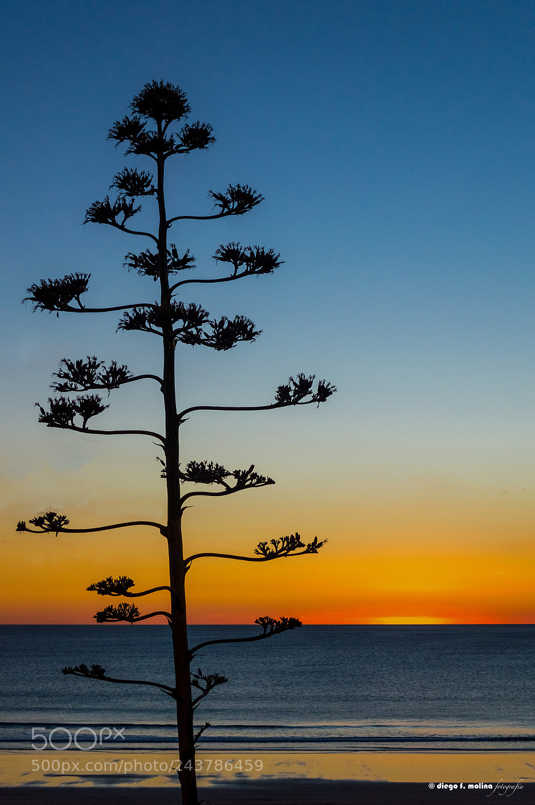 Nikon D3200 sample photo. Esperando la noche photography