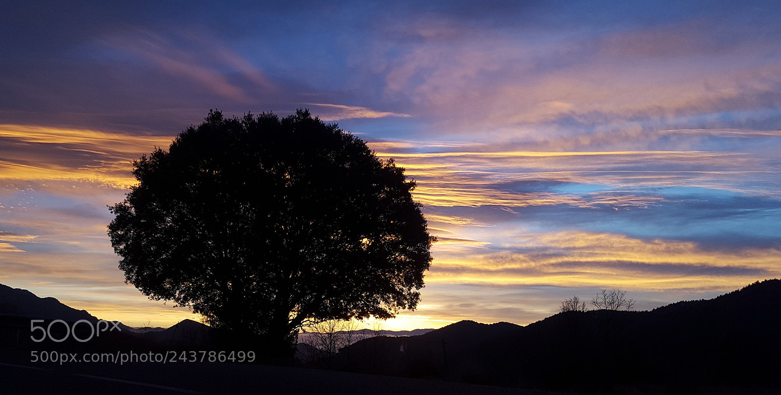 Samsung GALAXY S6 edge sample photo. Landscape num 13567ii965ghgtgvgg photography