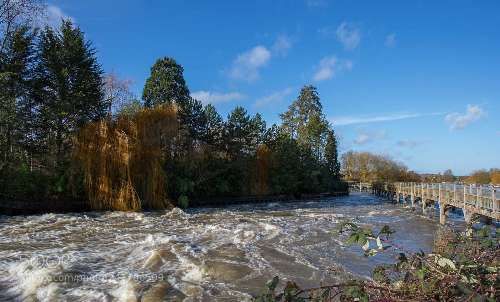 Canon EOS-1D X Mark II sample photo. Foot bridge across the photography