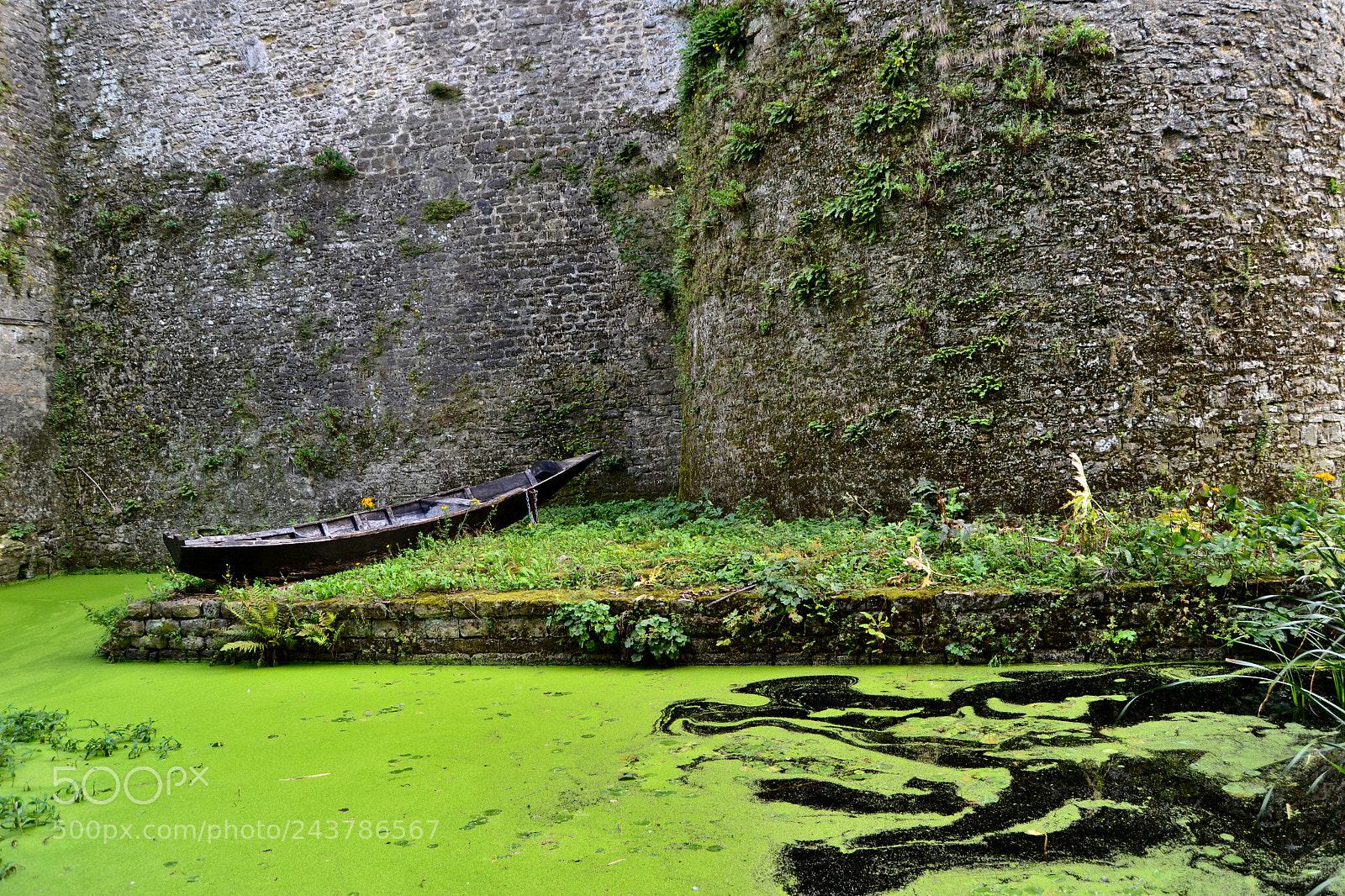 Nikon D3100 sample photo. The lost barge photography