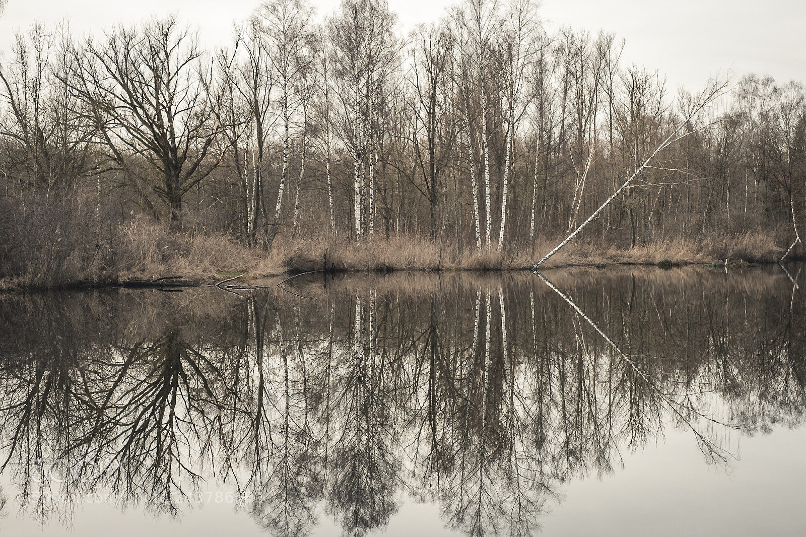 Fujifilm X-T20 sample photo. The lake at least photography