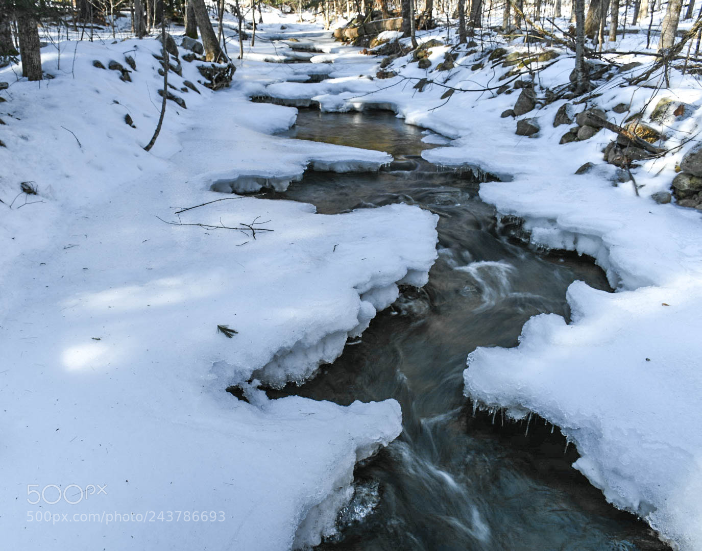 Nikon D7500 sample photo. Withee brook photography