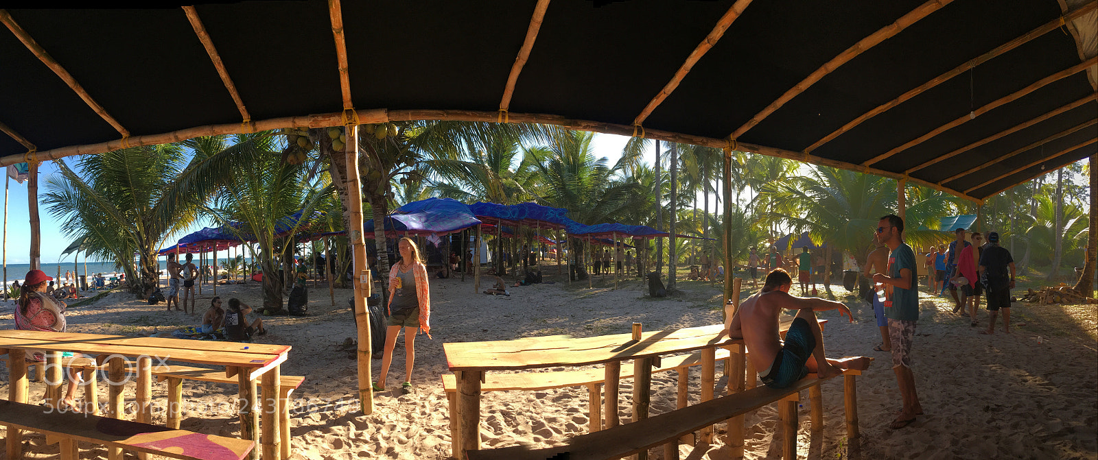 Apple iPhone SE sample photo. #universoparalello #up14 #bahia#tortugastage photography