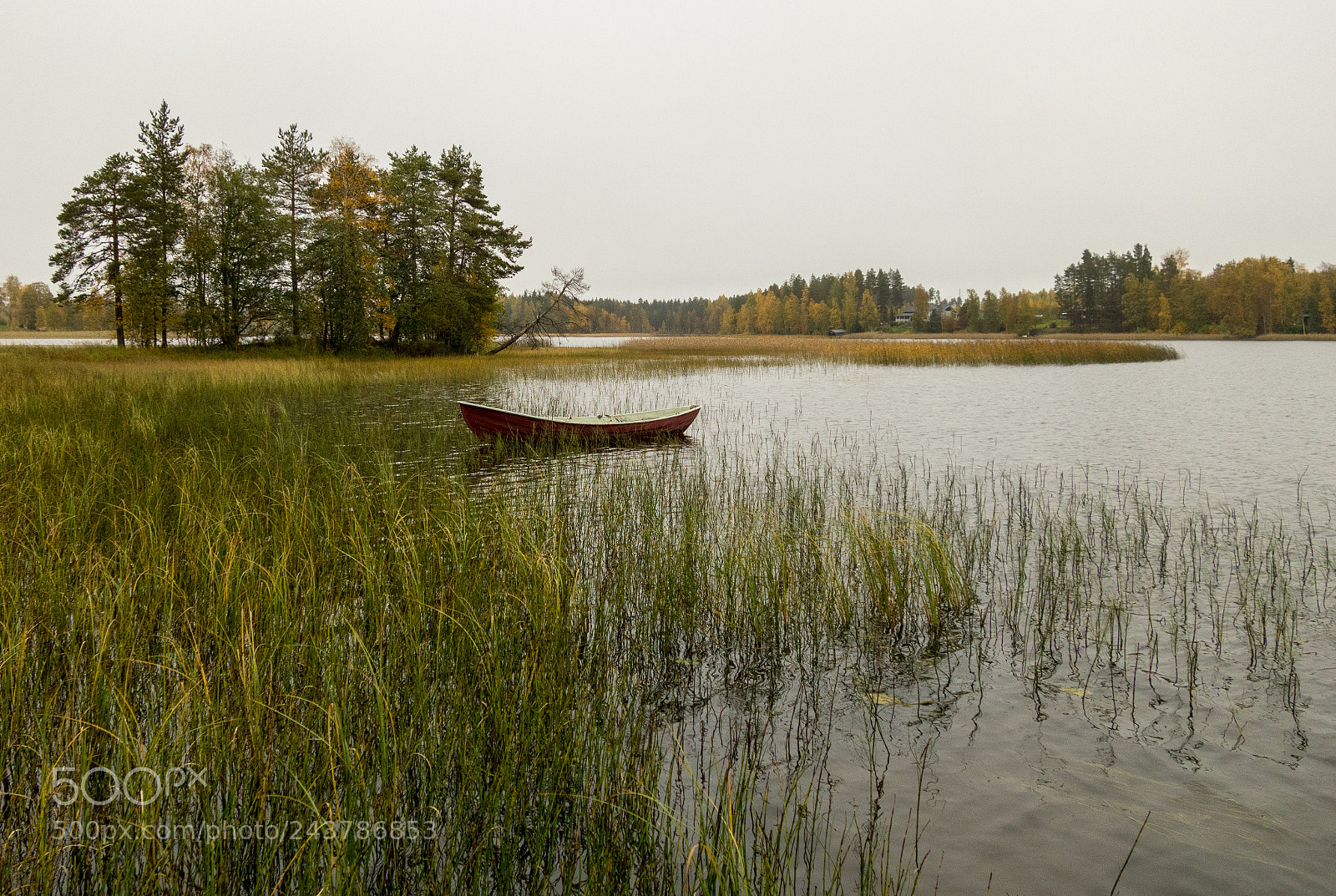 Sony Cyber-shot DSC-RX100 II sample photo. Drifter photography