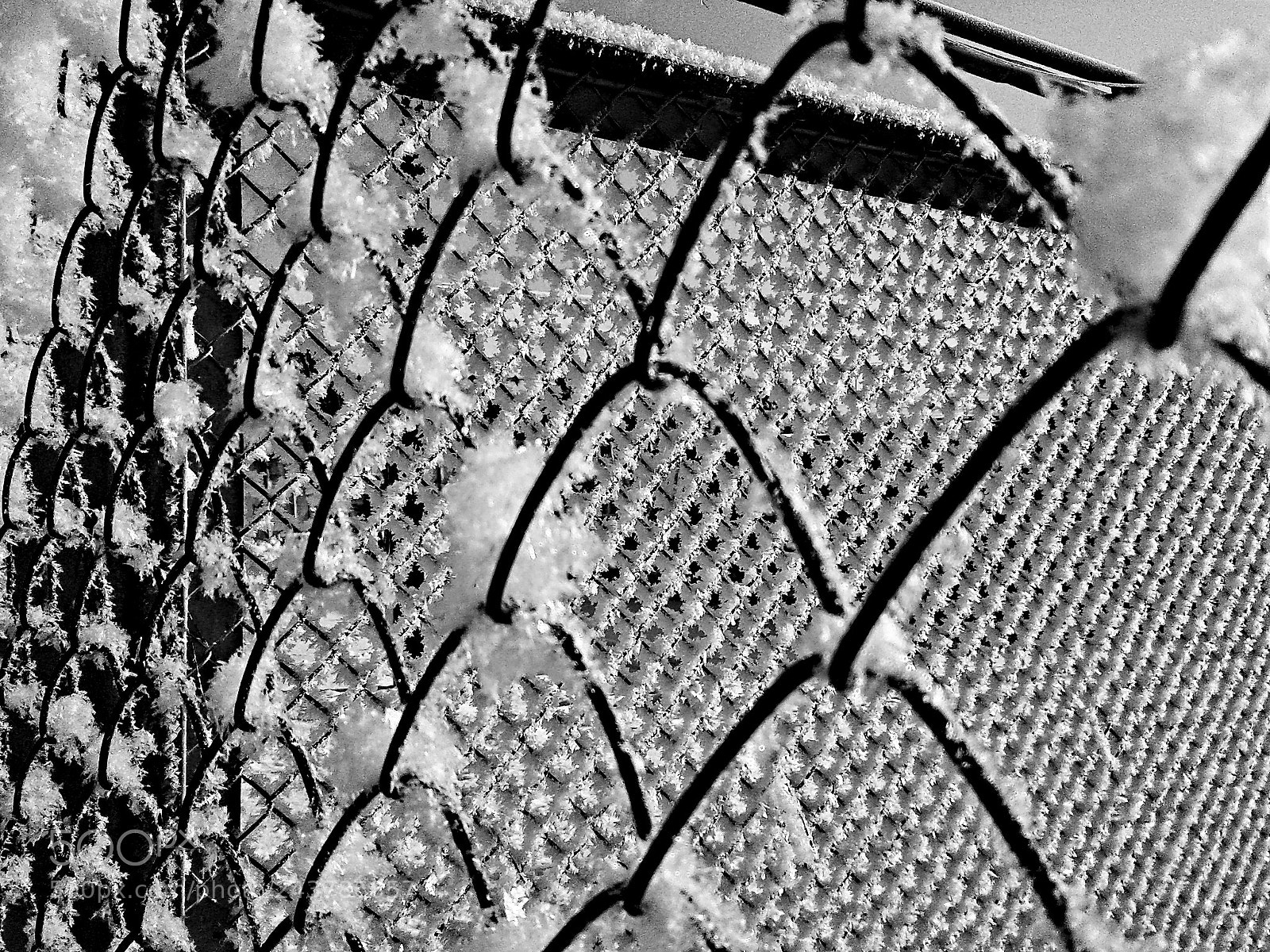 Samsung Galaxy J1 sample photo. Frosty fence photography