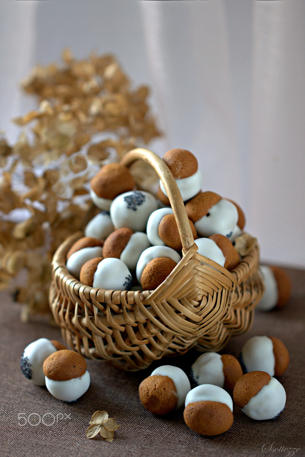 Canon EF 100mm F2.8L Macro IS USM sample photo. Sweet mushrooms photography