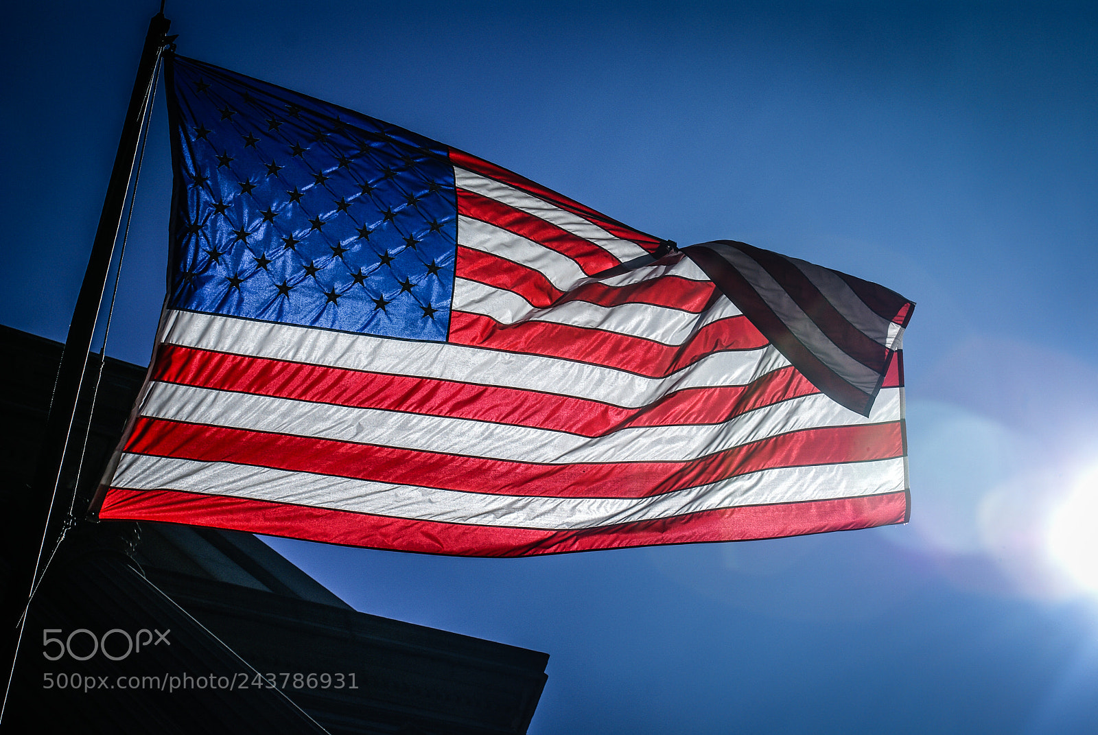Sony Alpha DSLR-A100 sample photo. American flag photography