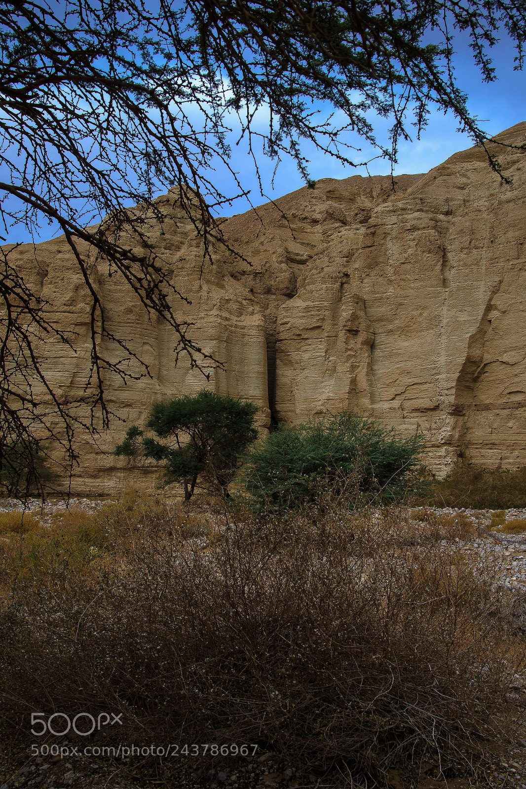 Canon EOS 7D Mark II sample photo. Za photography