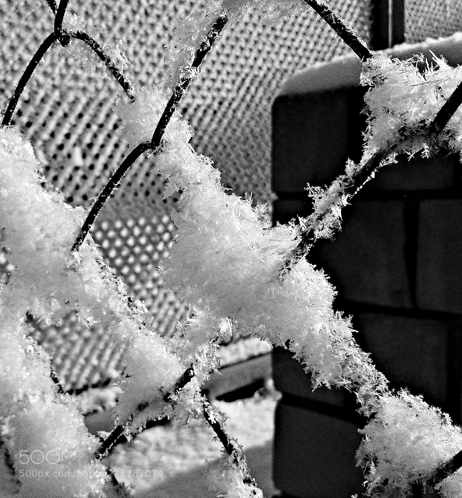Samsung Galaxy J1 sample photo. Frosty fence photography