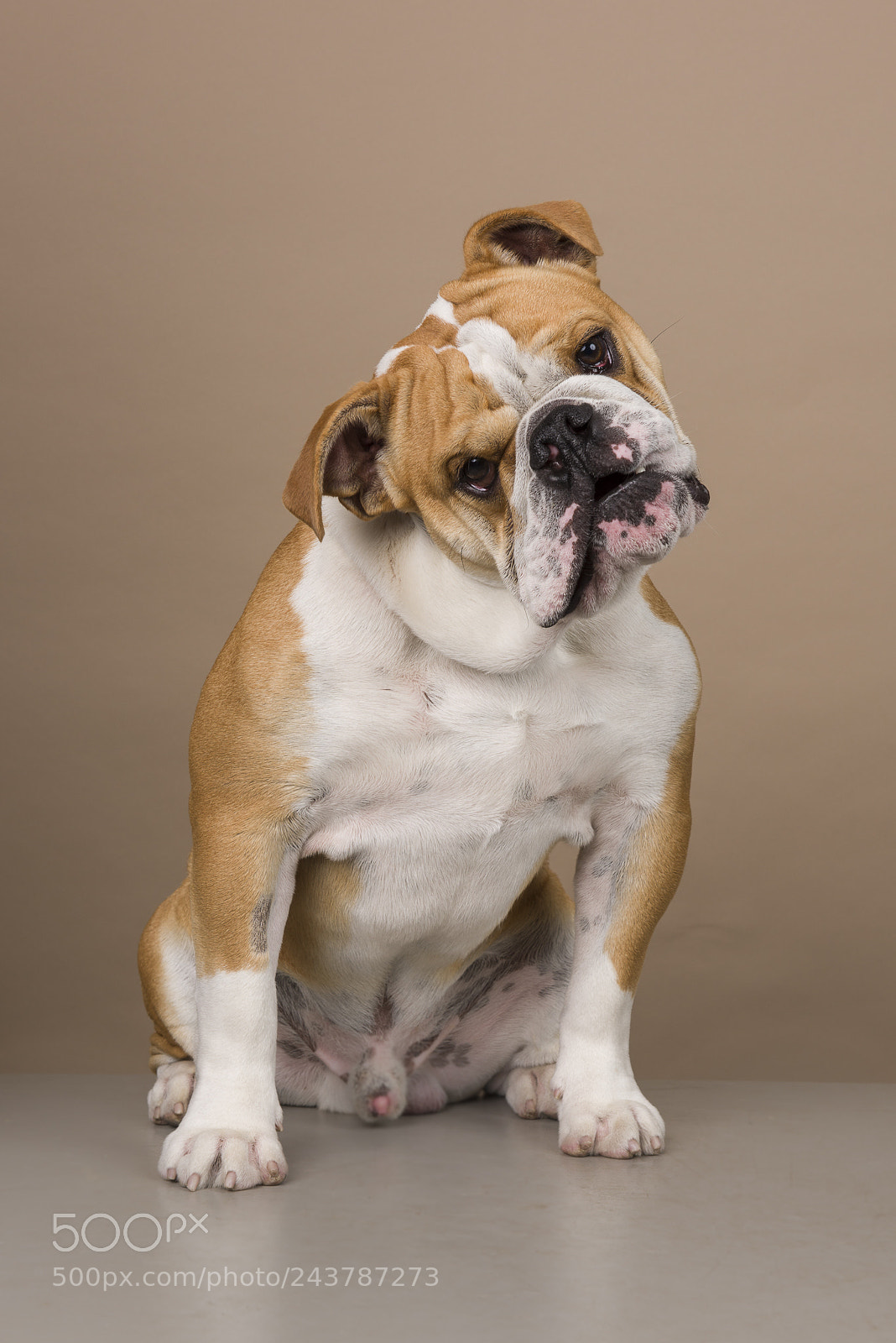 Nikon D810 sample photo. 36751173404.jpg photography