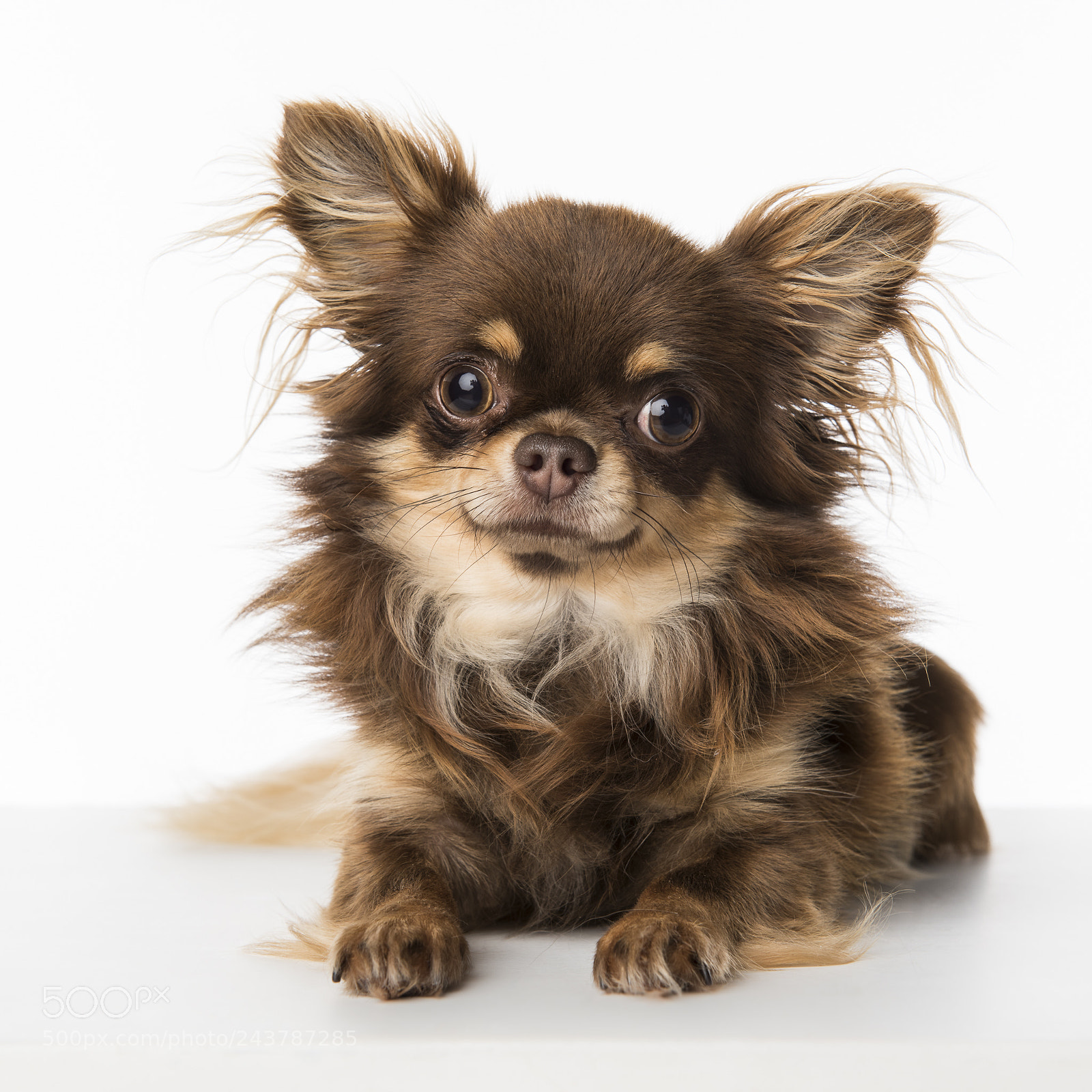 Nikon D810 sample photo. 37202972800.jpg photography