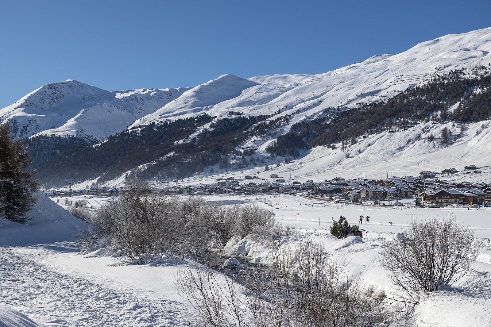 Nikon D850 sample photo. La plana - livigno photography