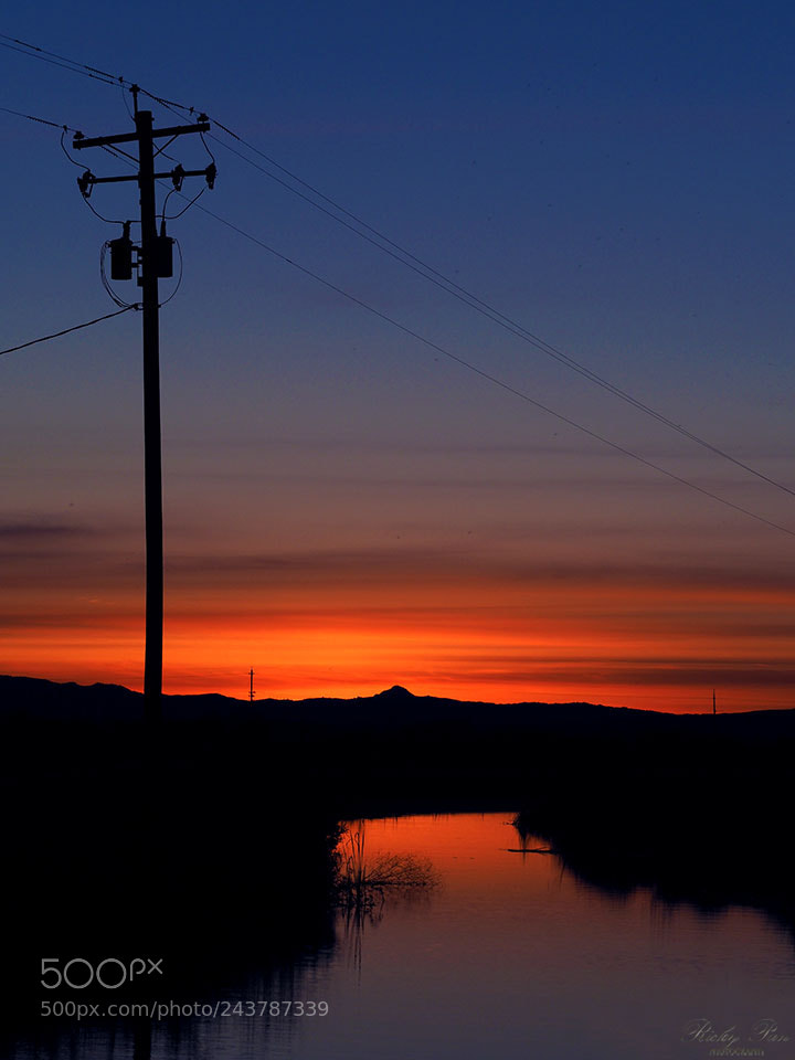 Olympus OM-D E-M1 Mark II sample photo. Sunset reflections photography
