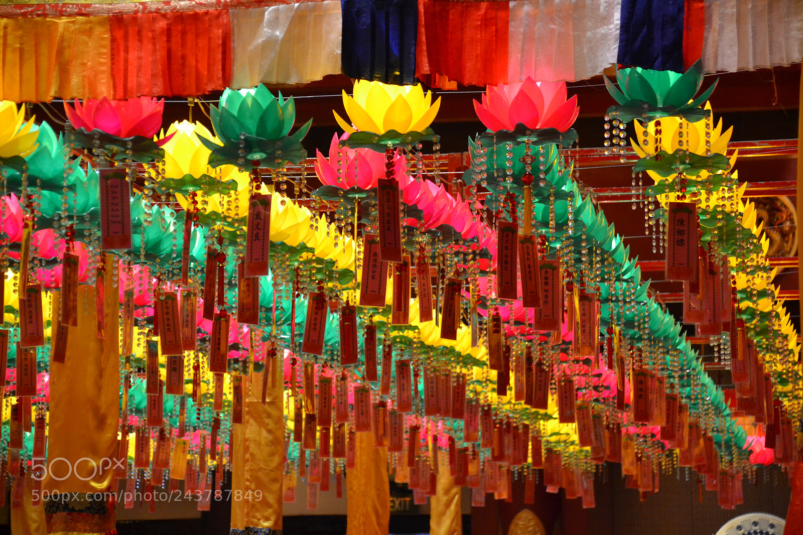 Nikon D3100 sample photo. Chinese lantern festival photography