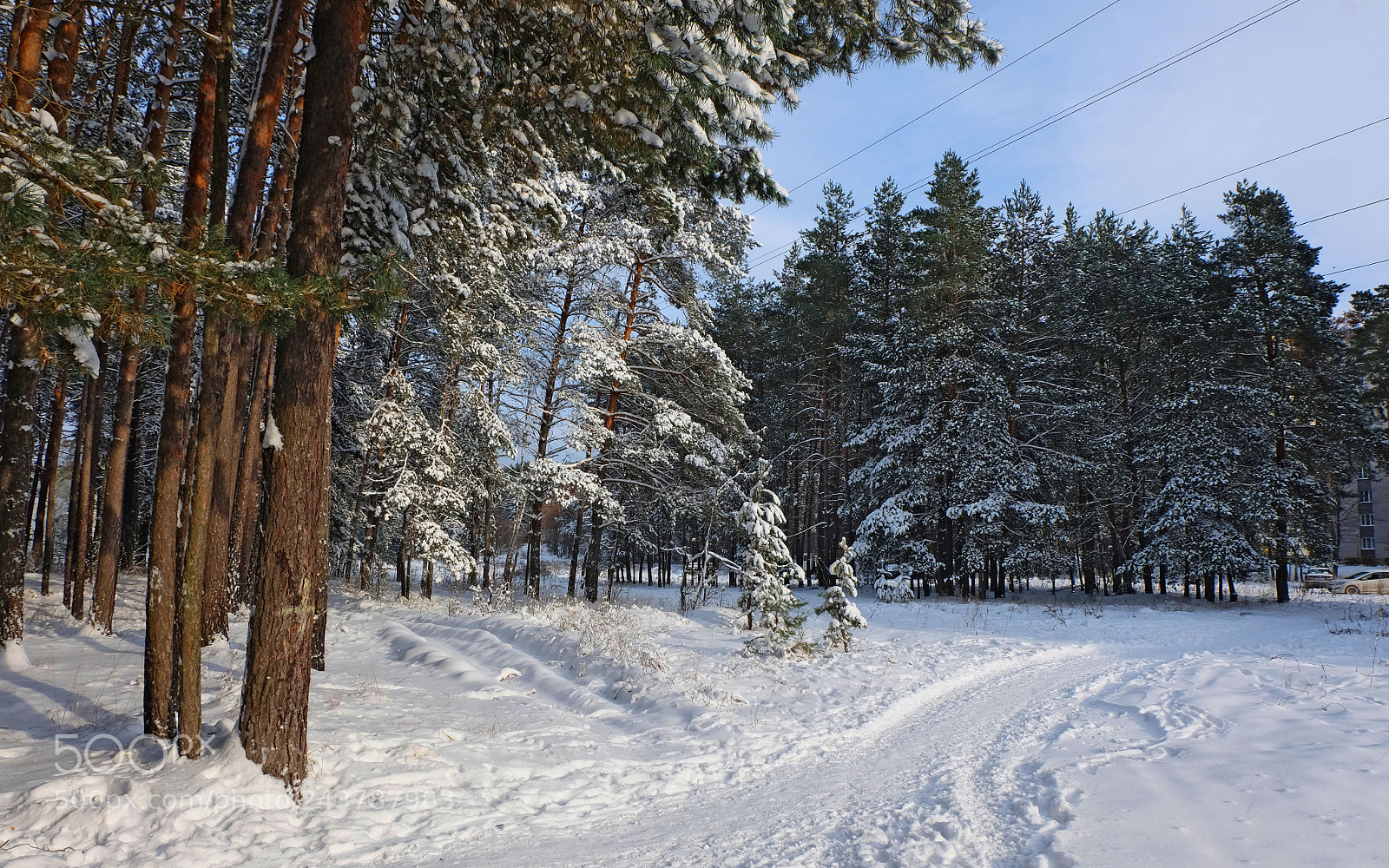 Fujifilm X-M1 sample photo. Winter photography