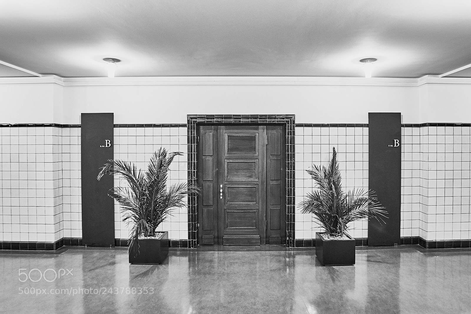 Sony Alpha DSLR-A850 sample photo. Entrance to office inside photography