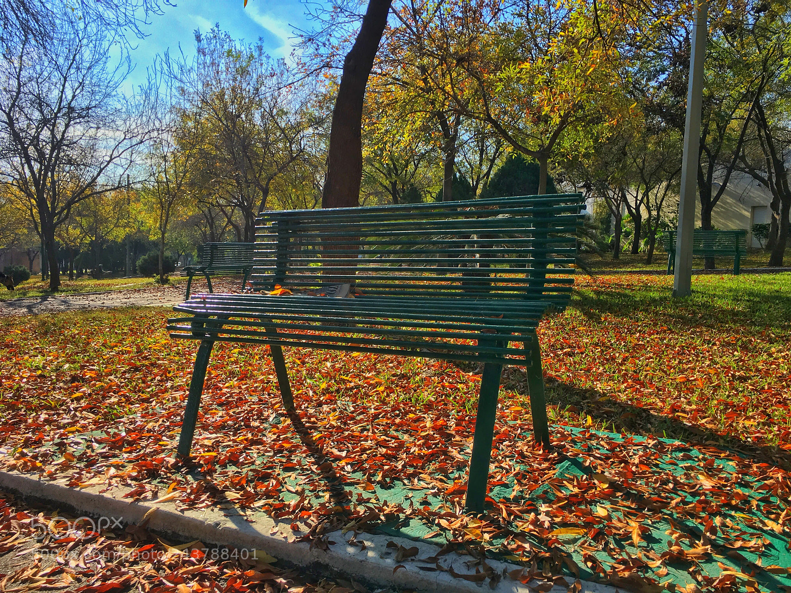 Apple iPhone 6s sample photo. Sunny relax site photography