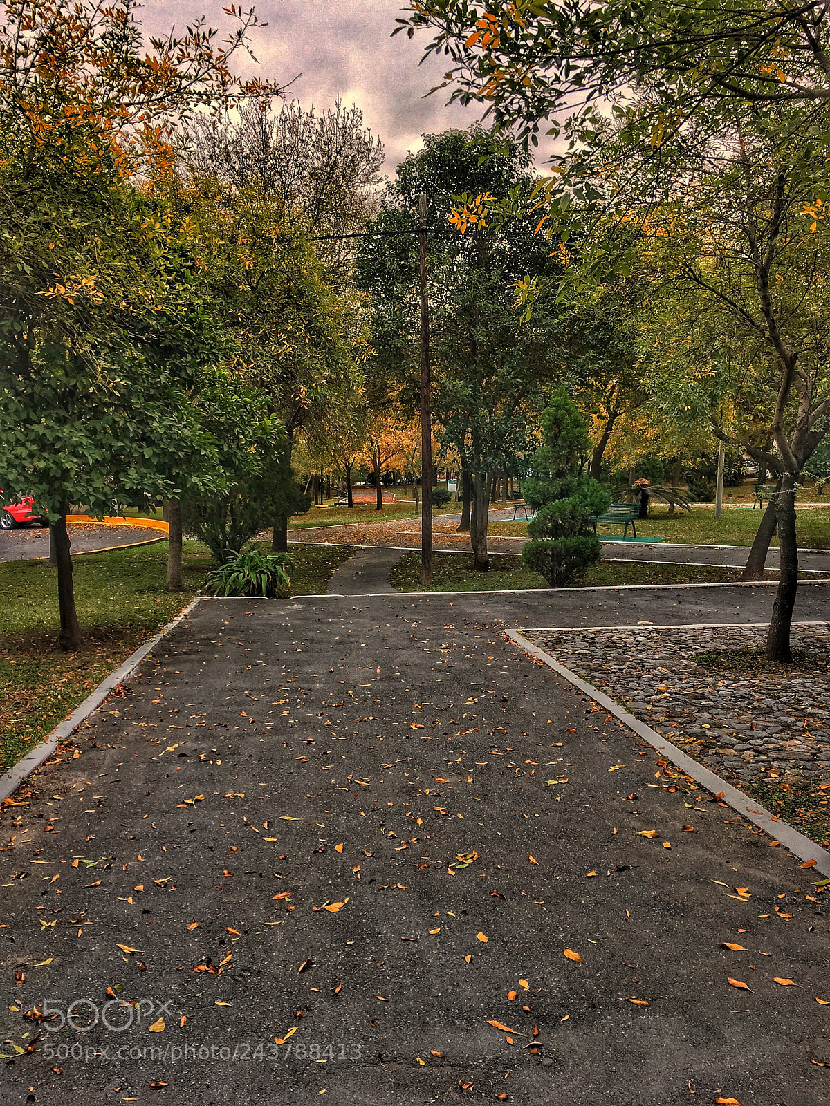 Apple iPhone 6s sample photo. Lovely view.jpg photography