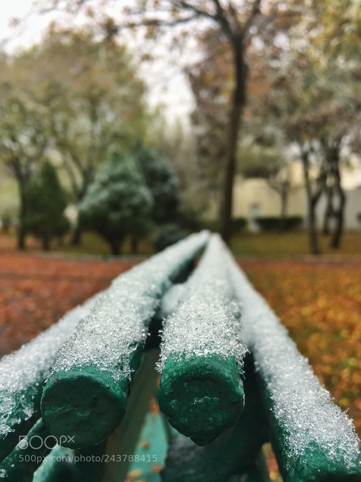 Apple iPhone 6s sample photo. Snowjpg photography