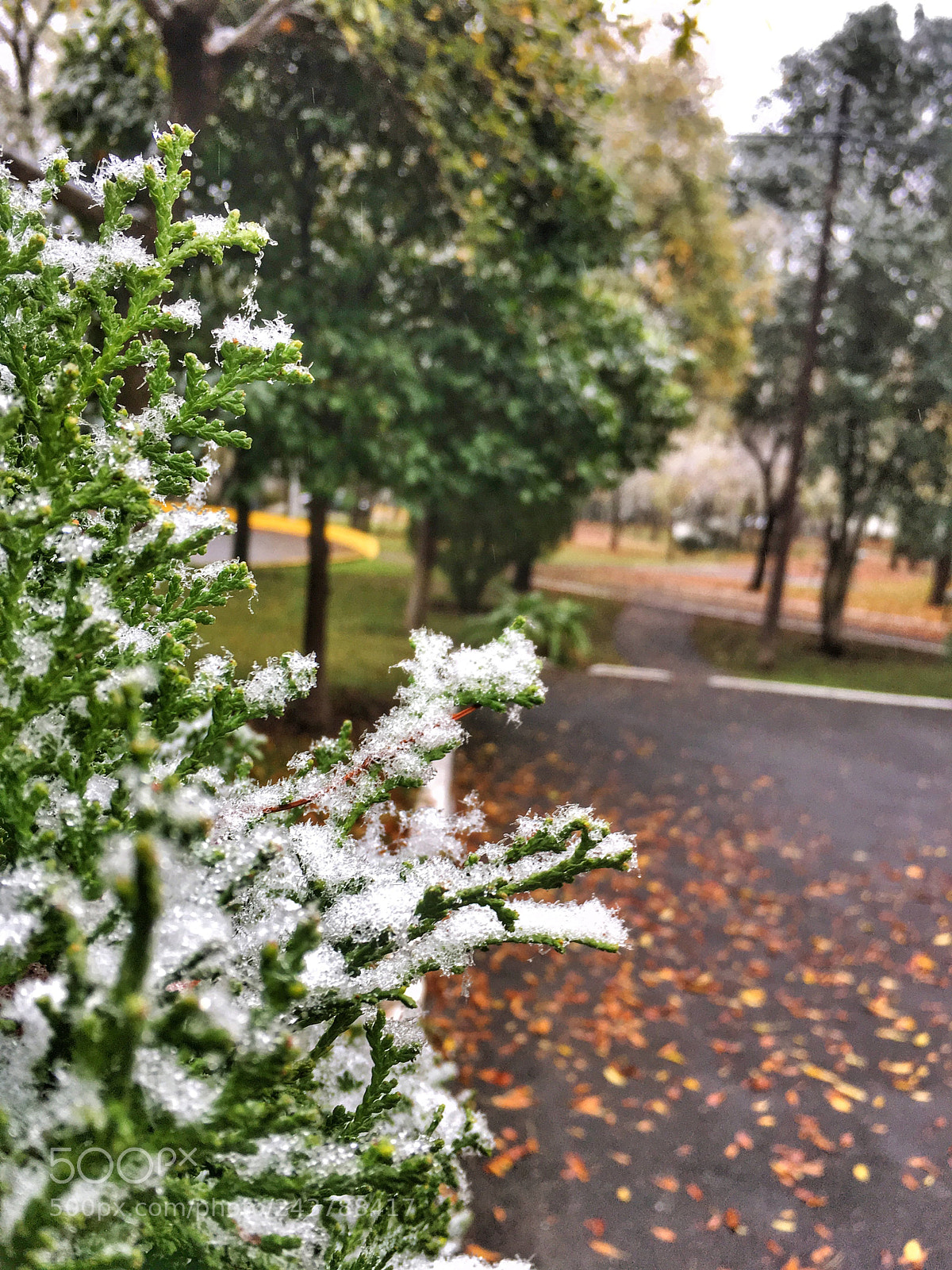 Apple iPhone 6s sample photo. Snow view.jpg photography