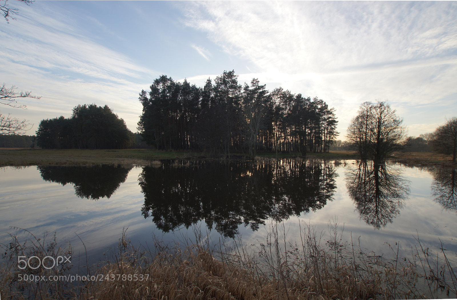 Sony SLT-A77 sample photo. Dsc photography
