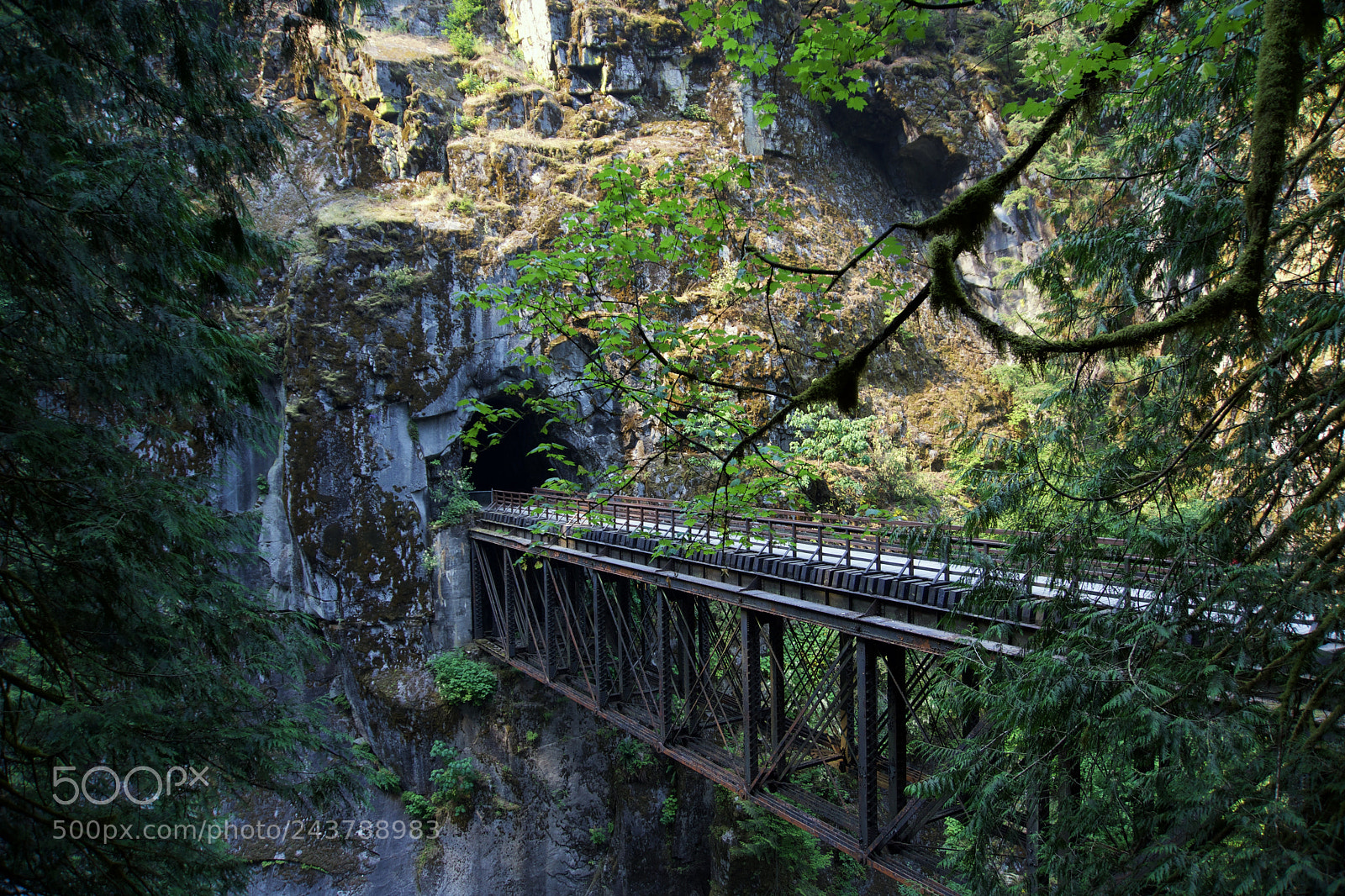 Sony a6500 sample photo. Coquihalla canyon photography